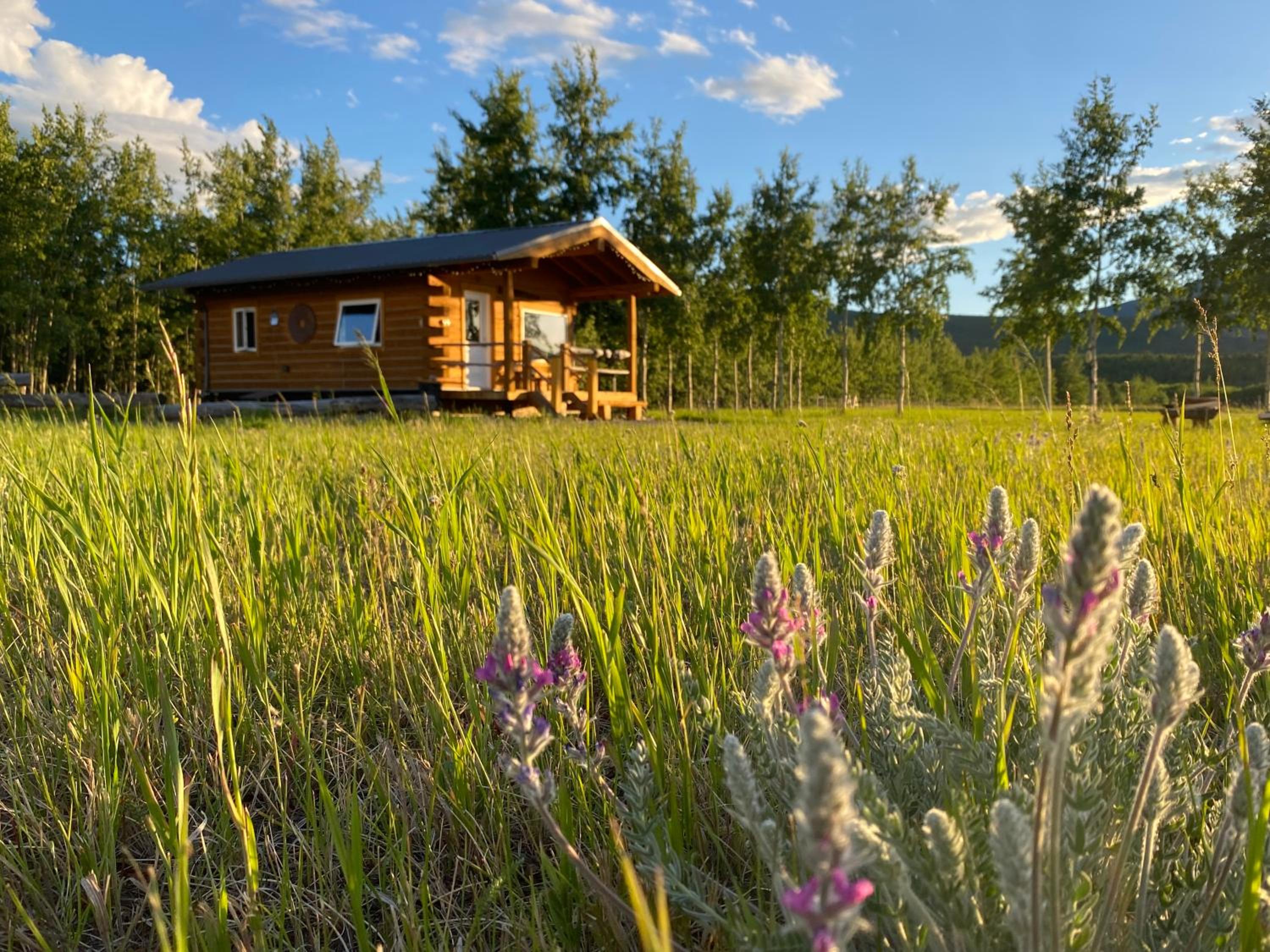 Oma's and Opa's Northern Lights Viewing Cabin