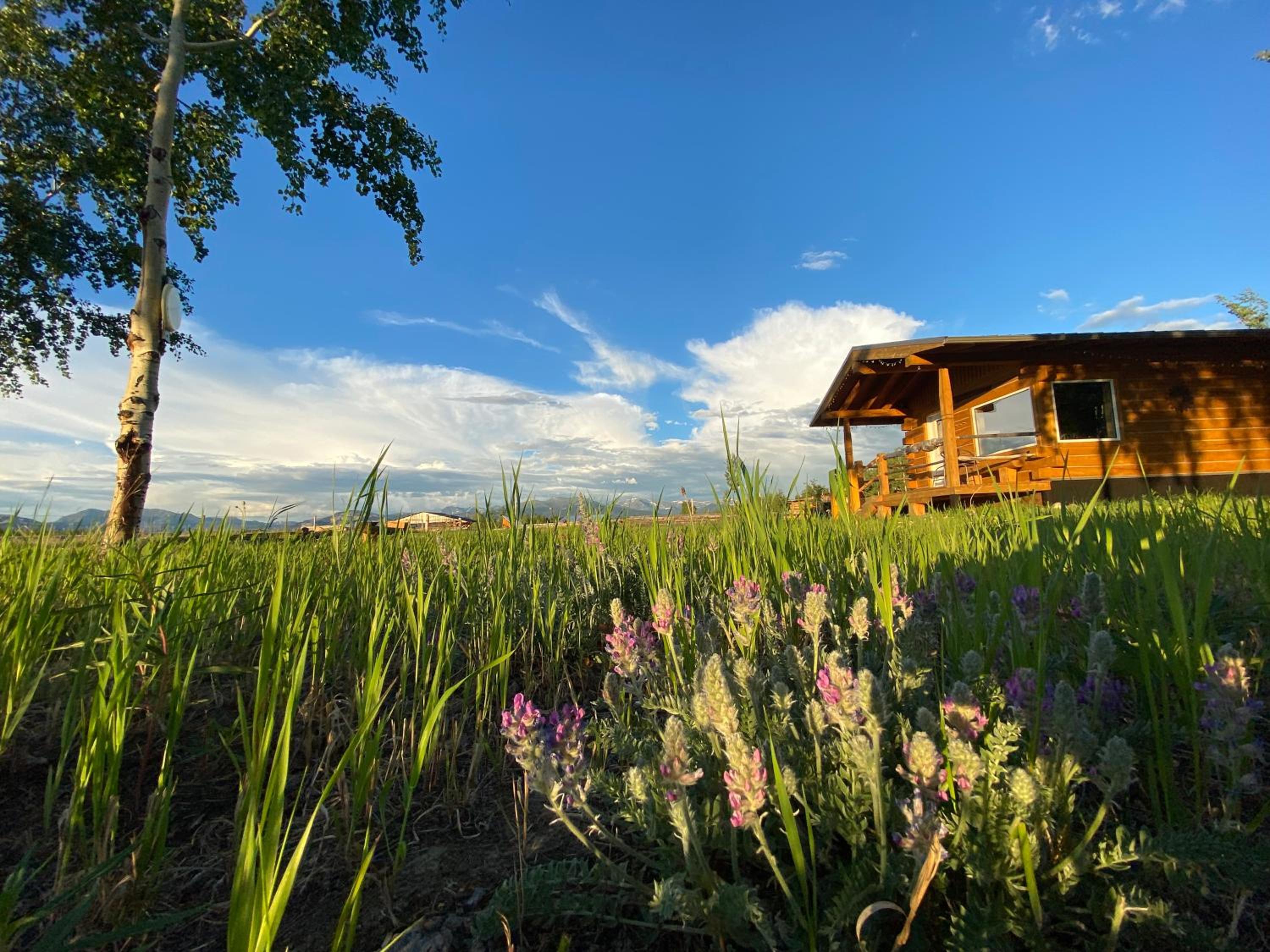 Oma's and Opa's Northern Lights Viewing Cabin
