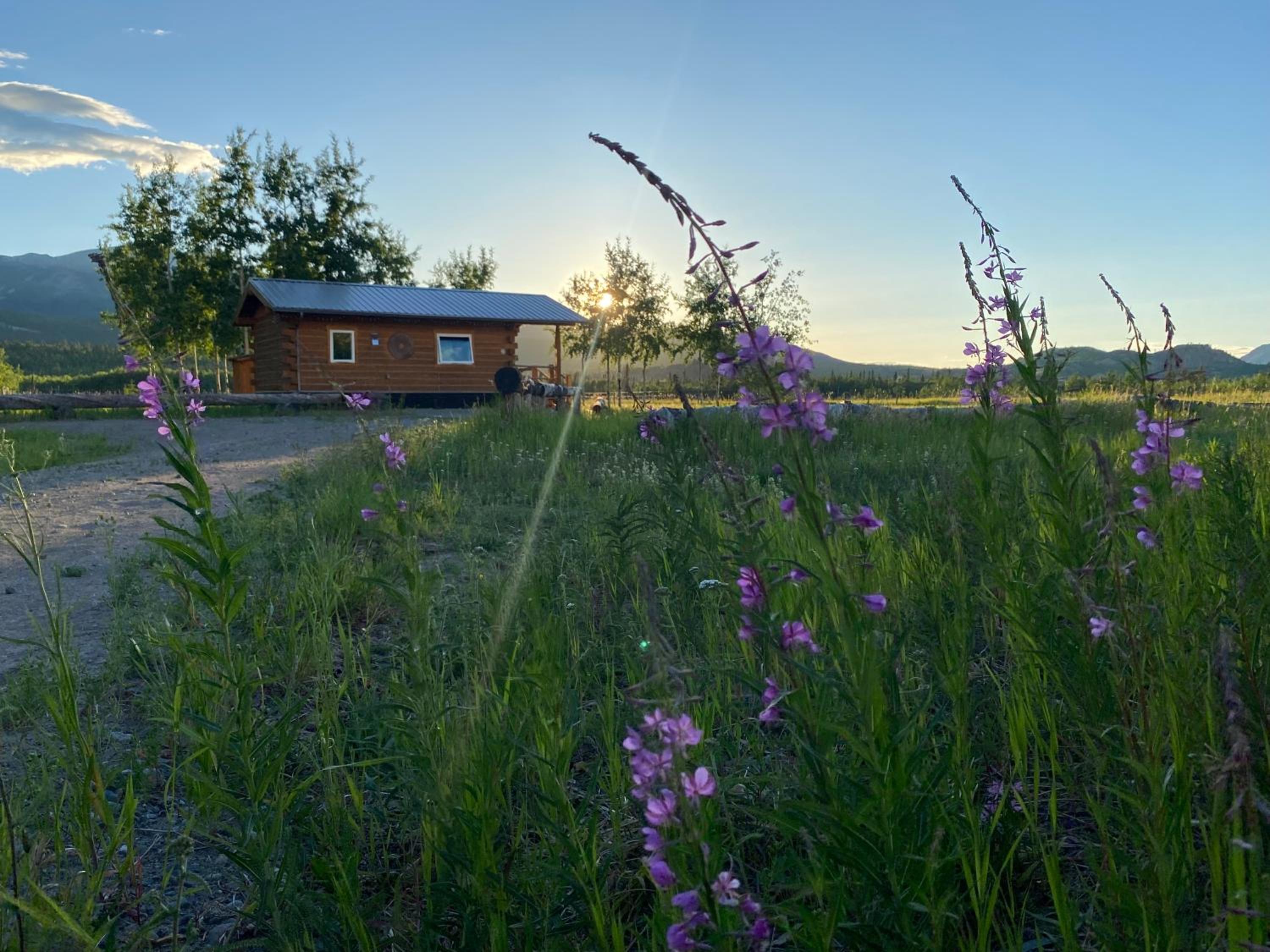 Oma's and Opa's Northern Lights Viewing Cabin