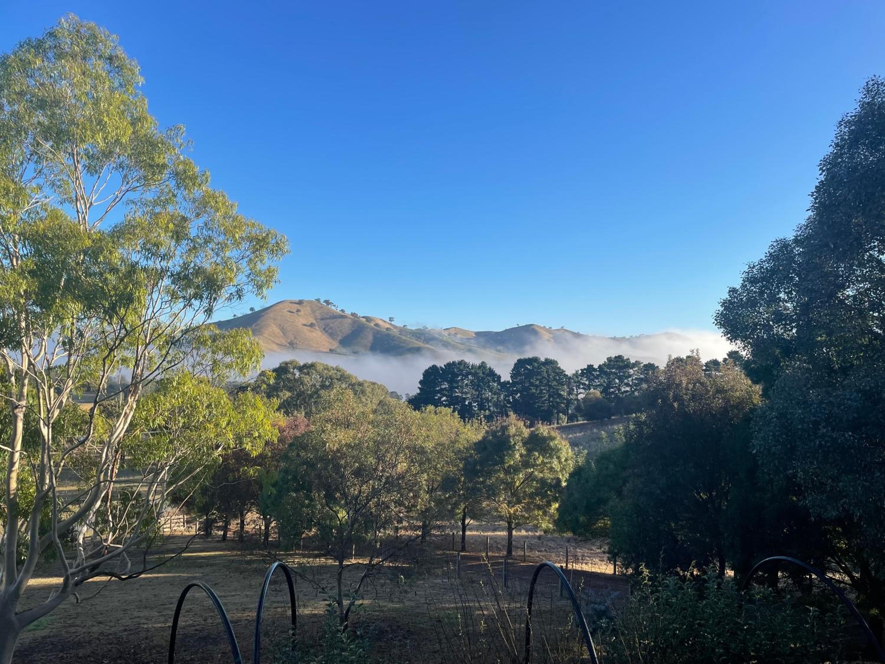 Omaroo High Country Retreat