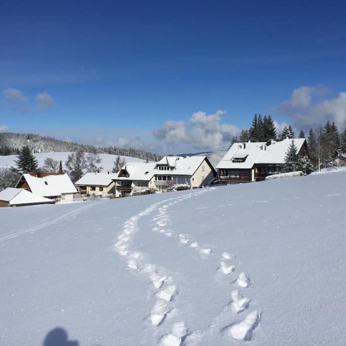 Natur Pur im Hochschwarzwald
