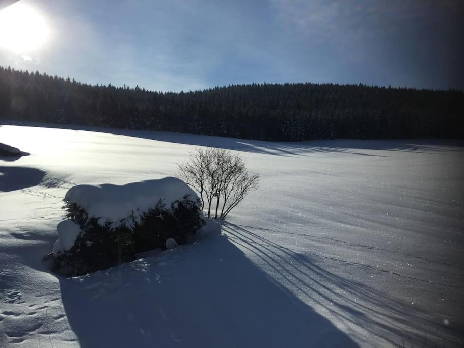 Natur Pur im Hochschwarzwald
