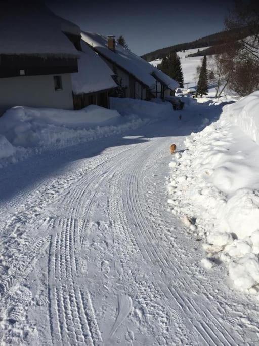 Natur Pur im Hochschwarzwald