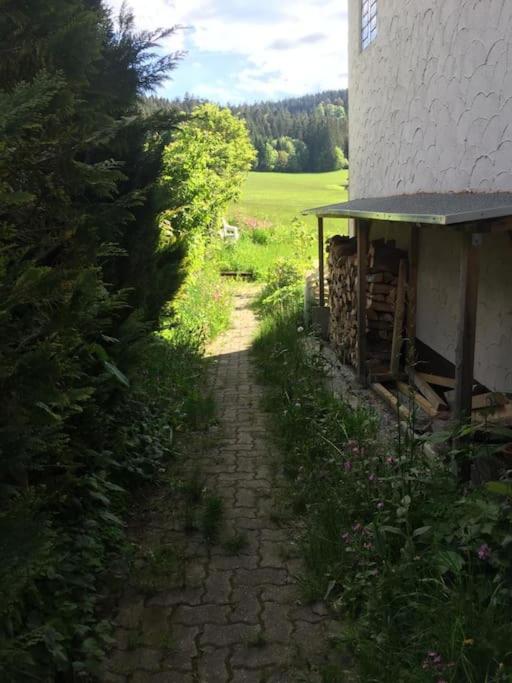 Natur Pur im Hochschwarzwald