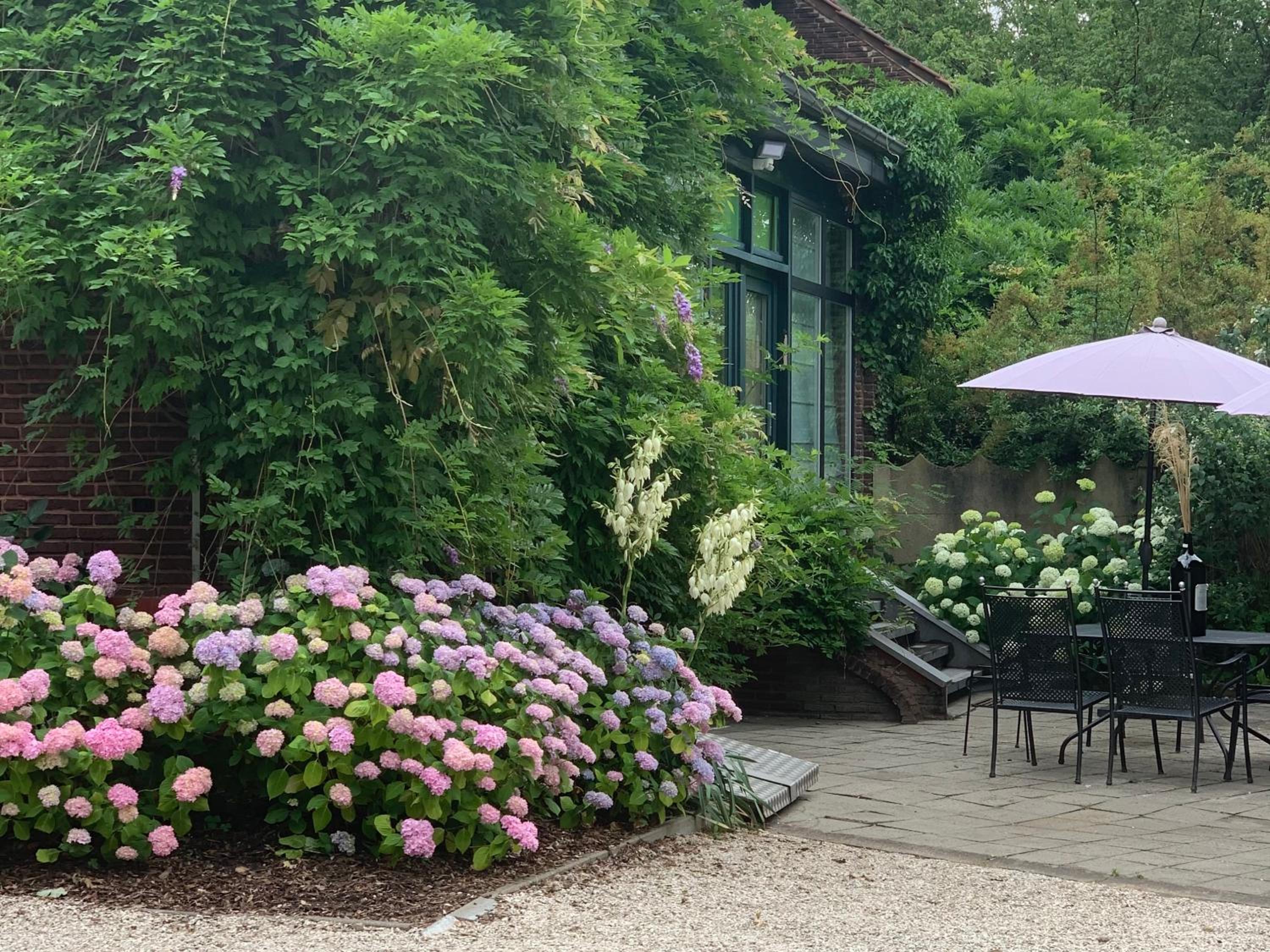 Vakantiewoning Guesthouse MOMO