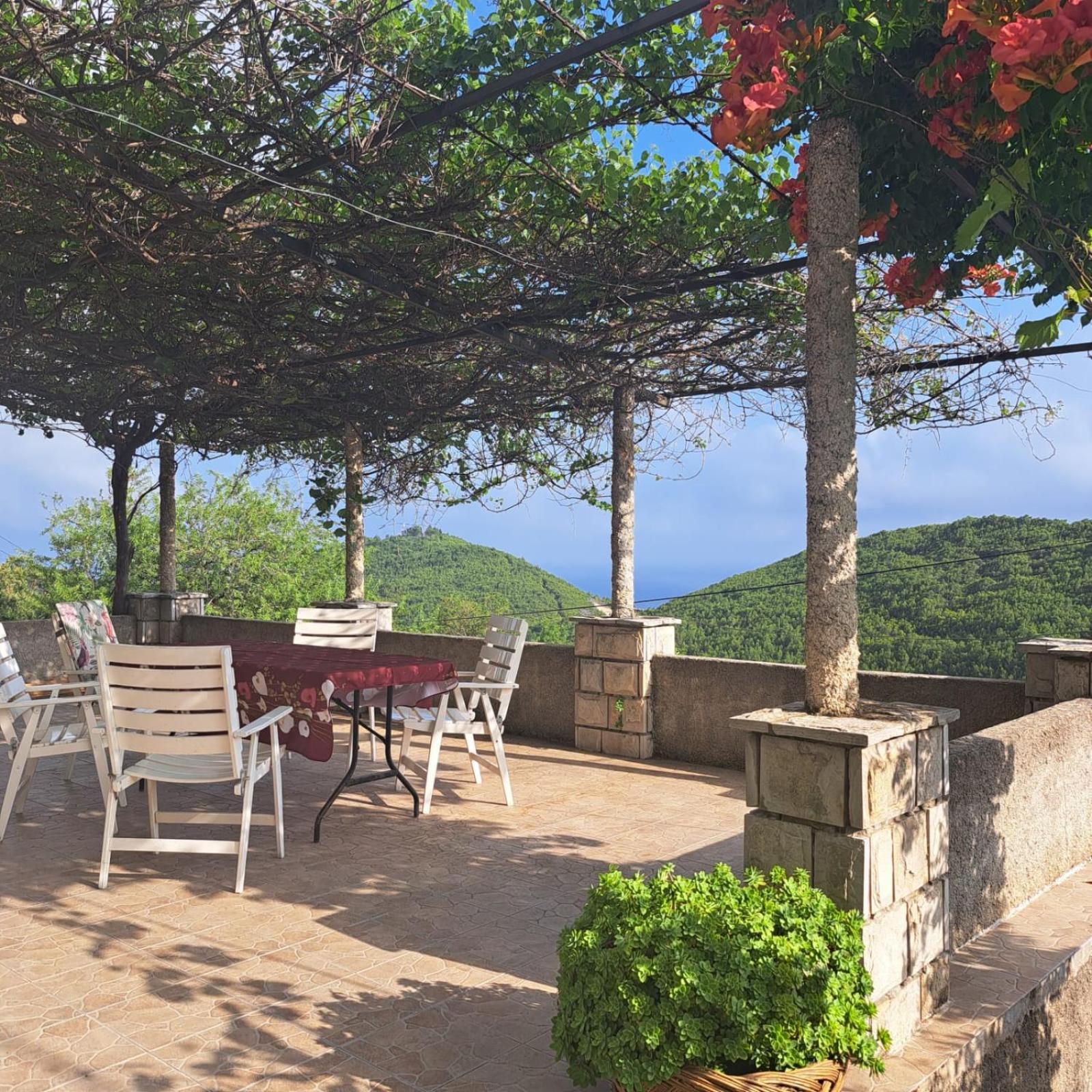 Guest House Tanja view 4