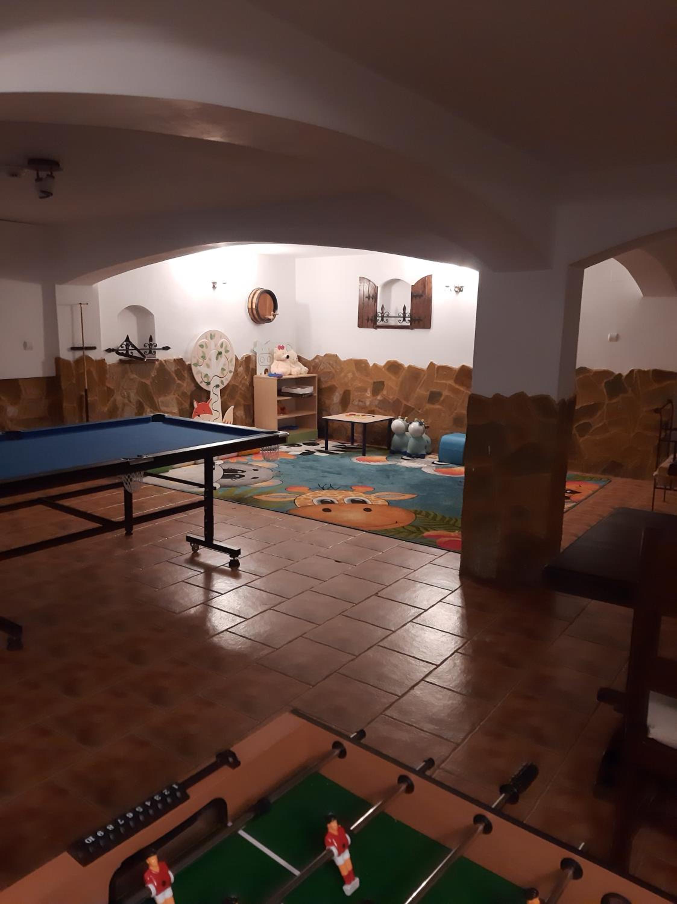 Vila Hora cu Brazi