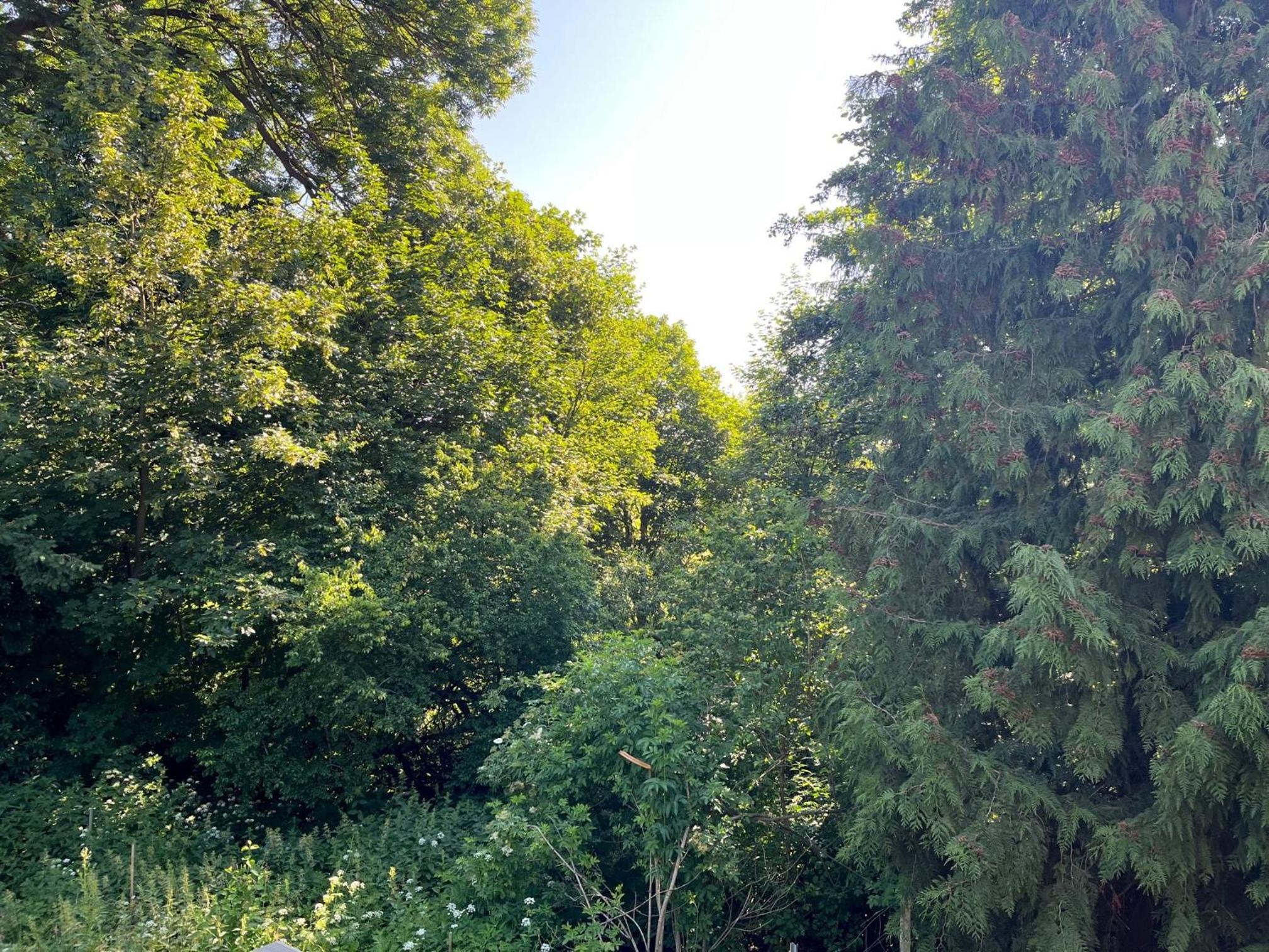 Forsthaus Neudorf - Gartenblick
