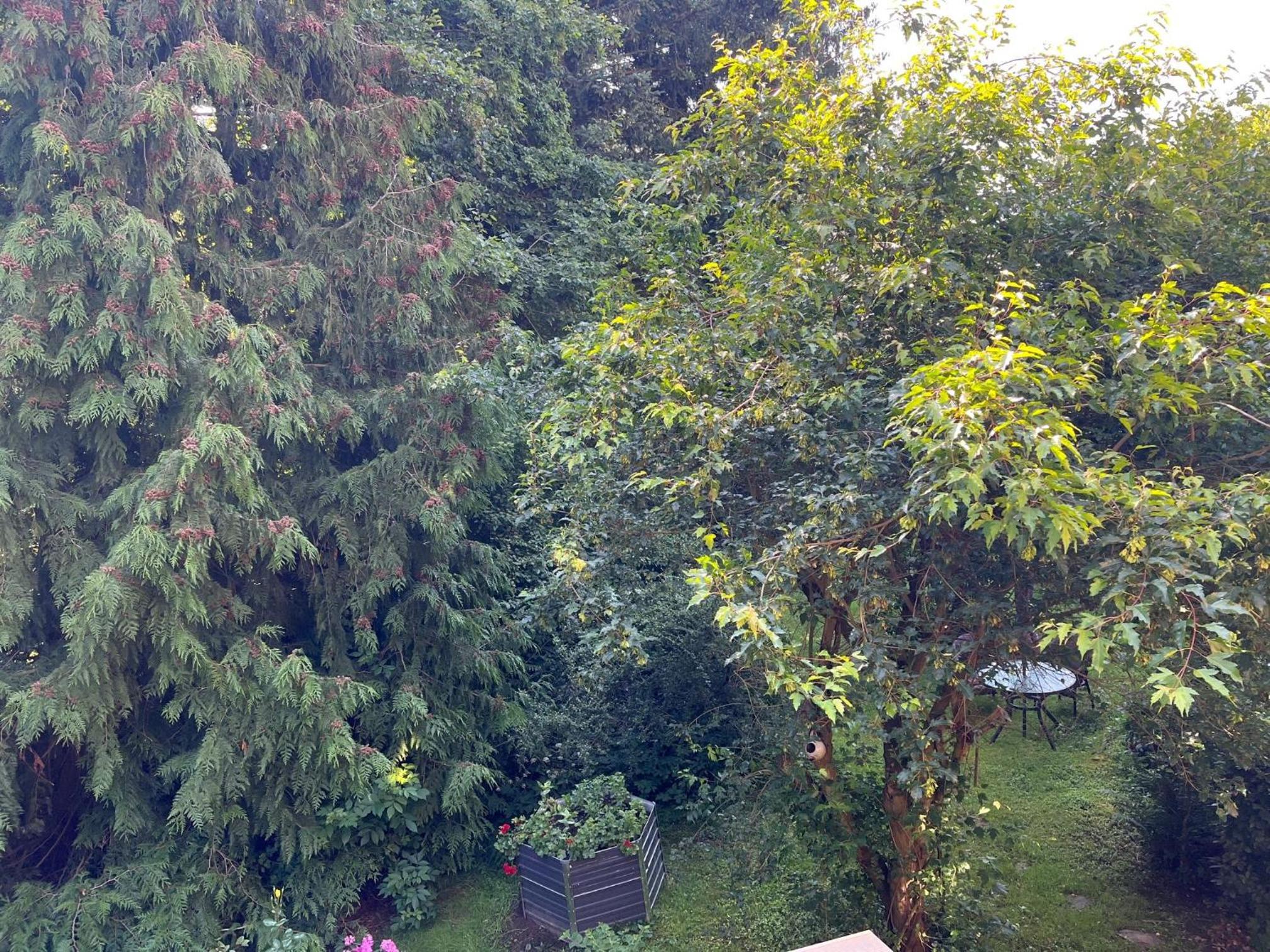 Forsthaus Neudorf - Gartenblick