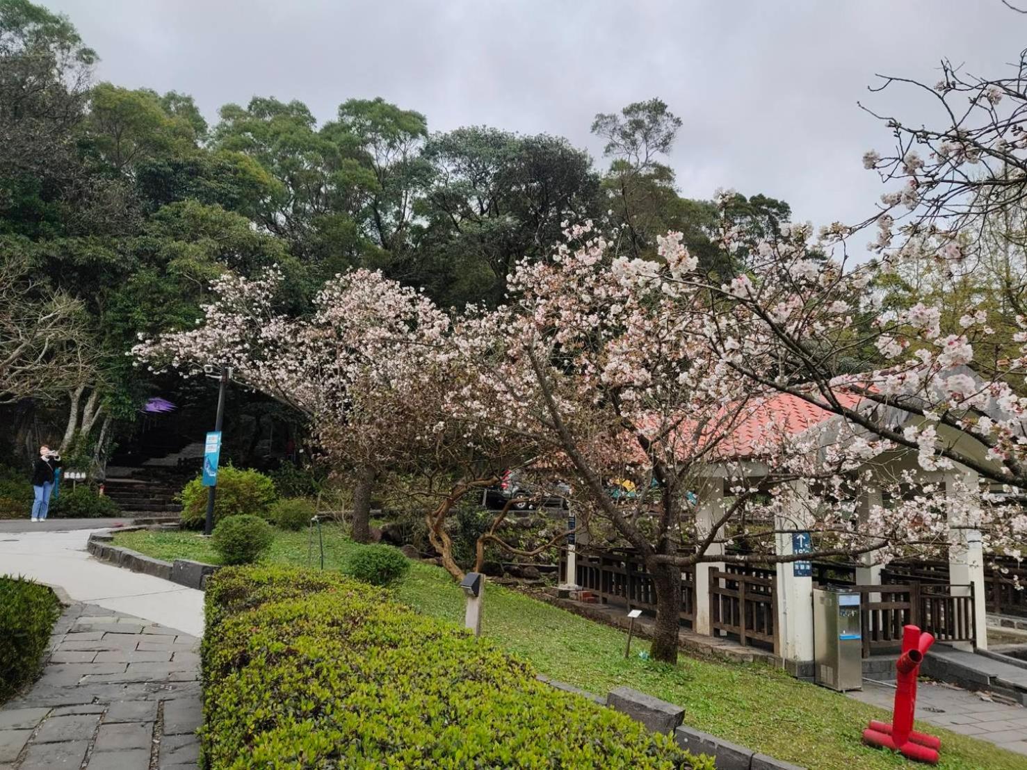 Yanmin Hot Spring Resort