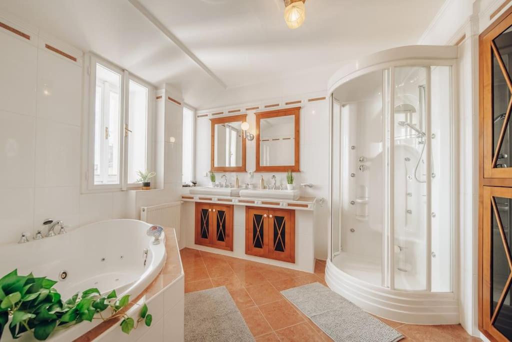 Magnificent historical penthouse in the heart of Prague