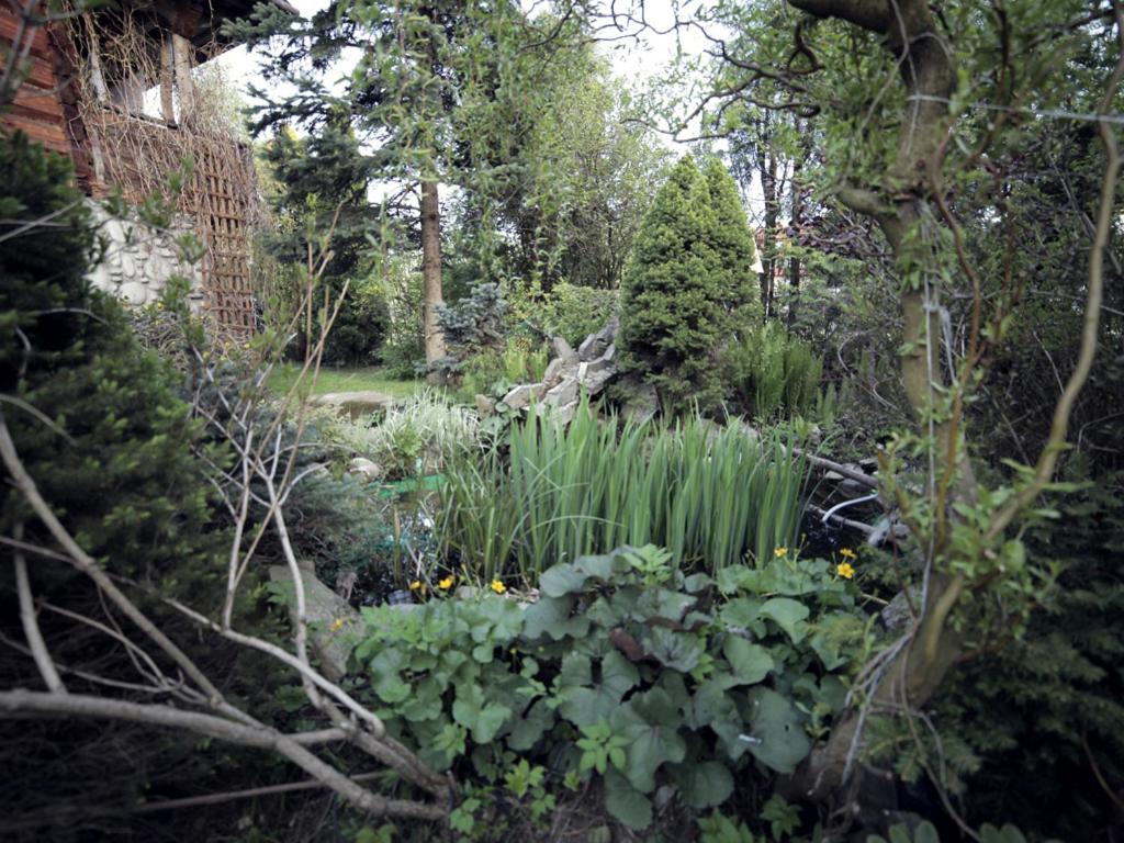 Photo 45