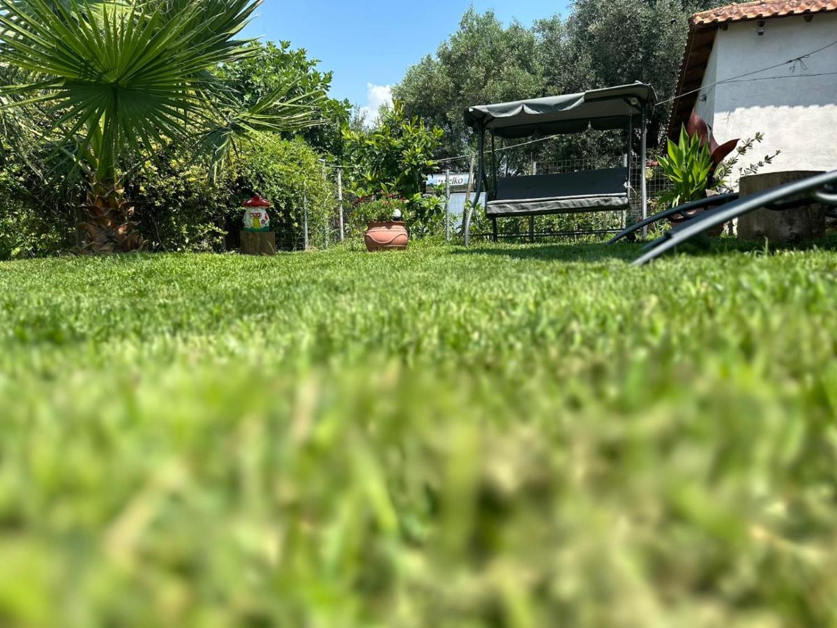 Photo 33