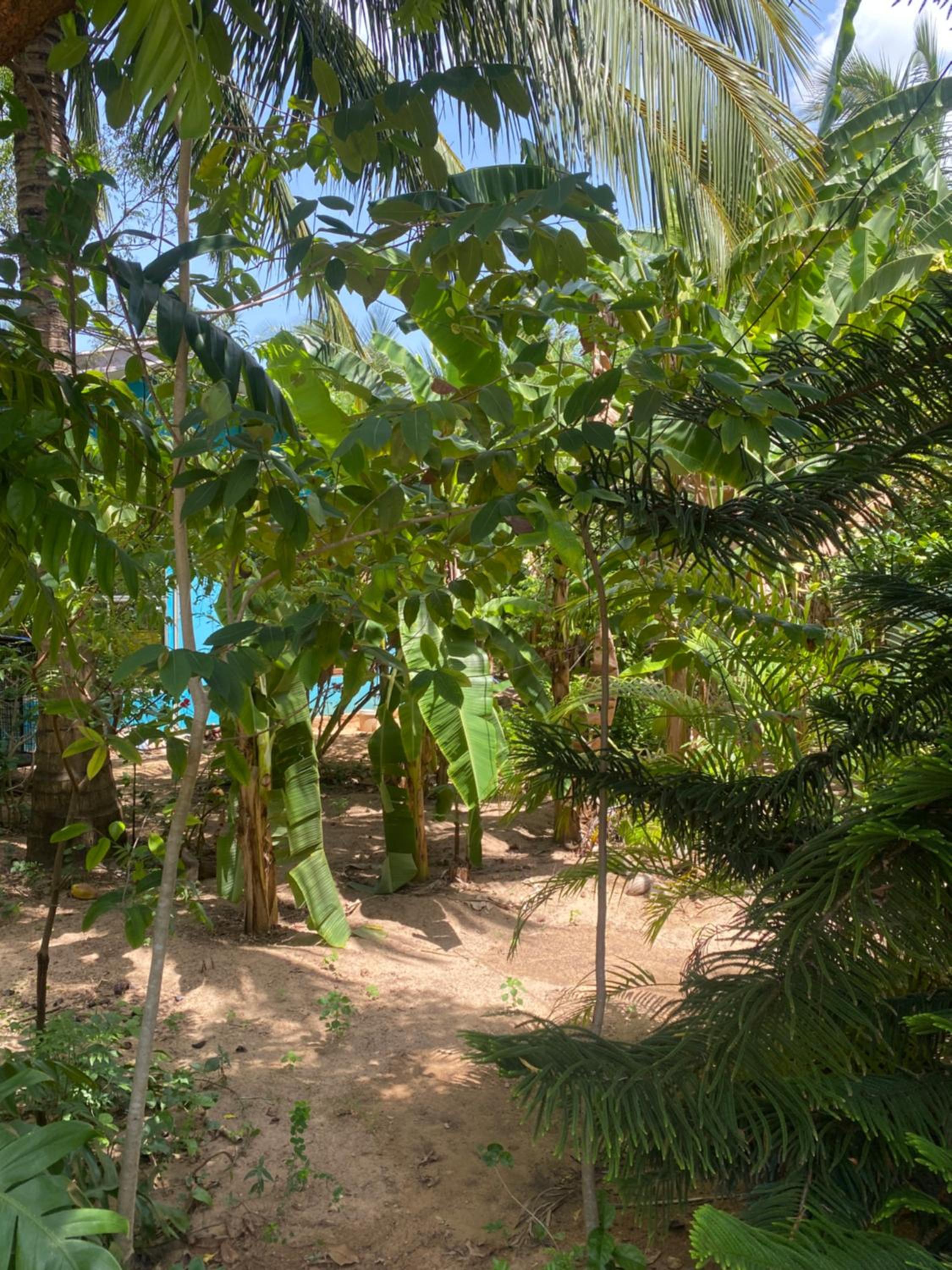 Photo 29
