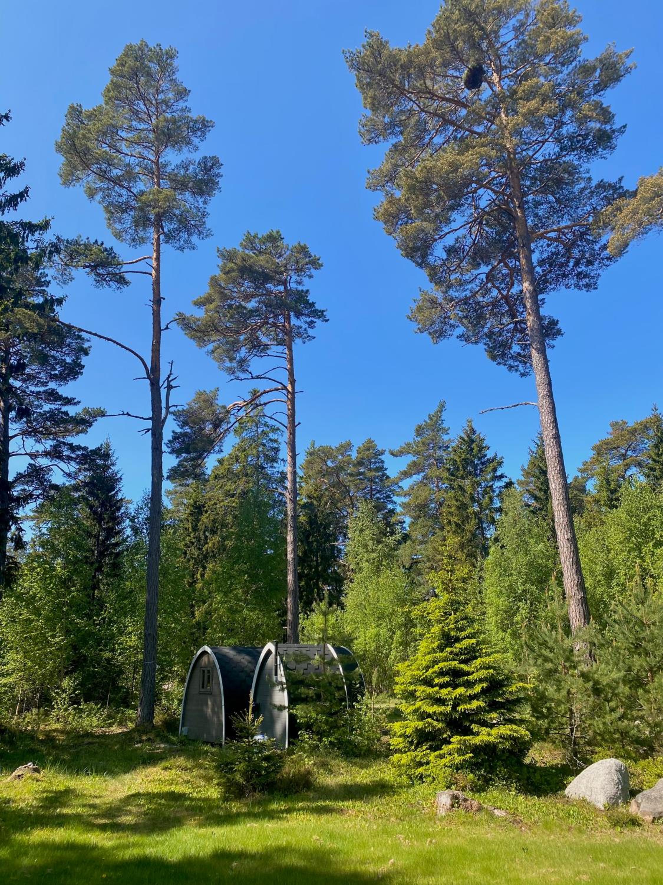 Merineitsi peamaja saunaga kahele