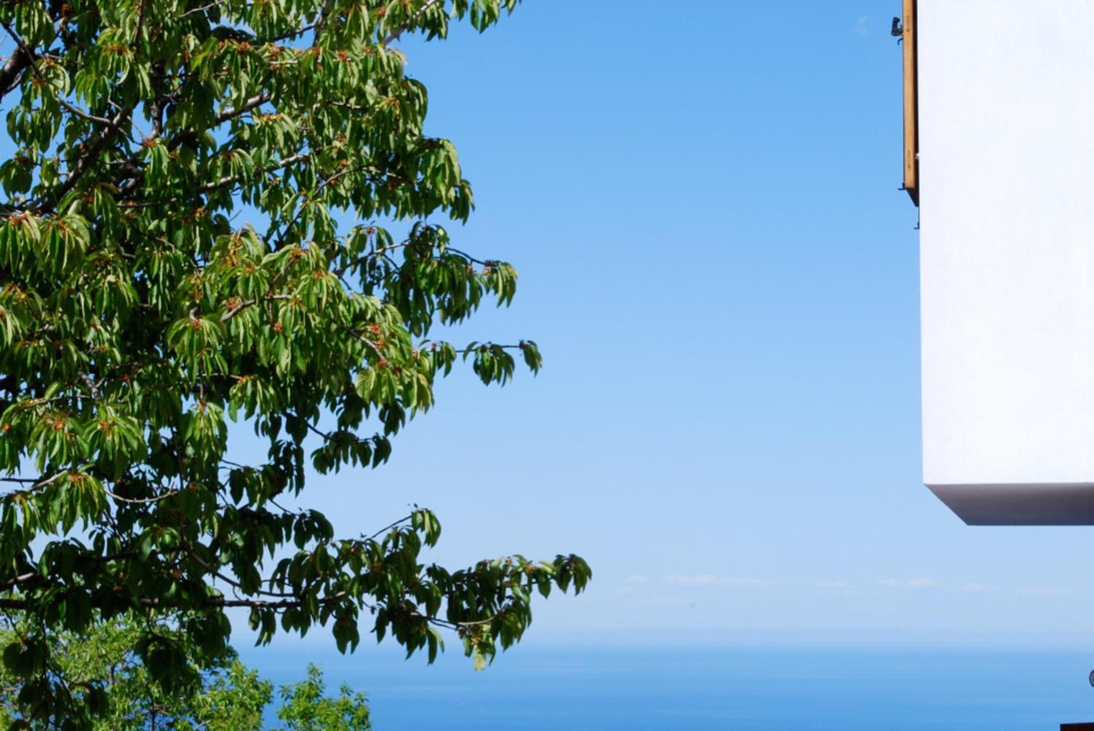 ARKPelion
