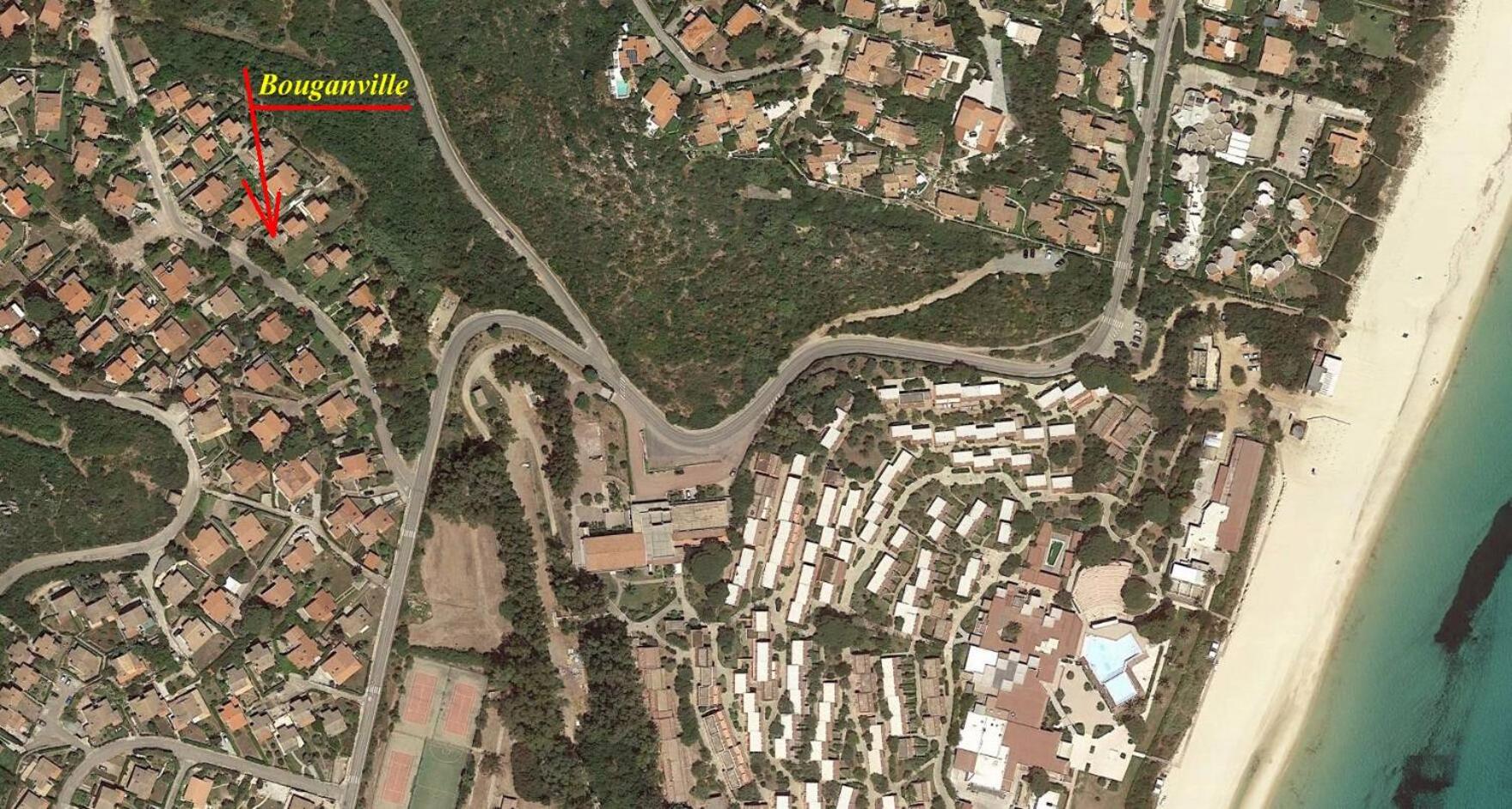 Bouganville