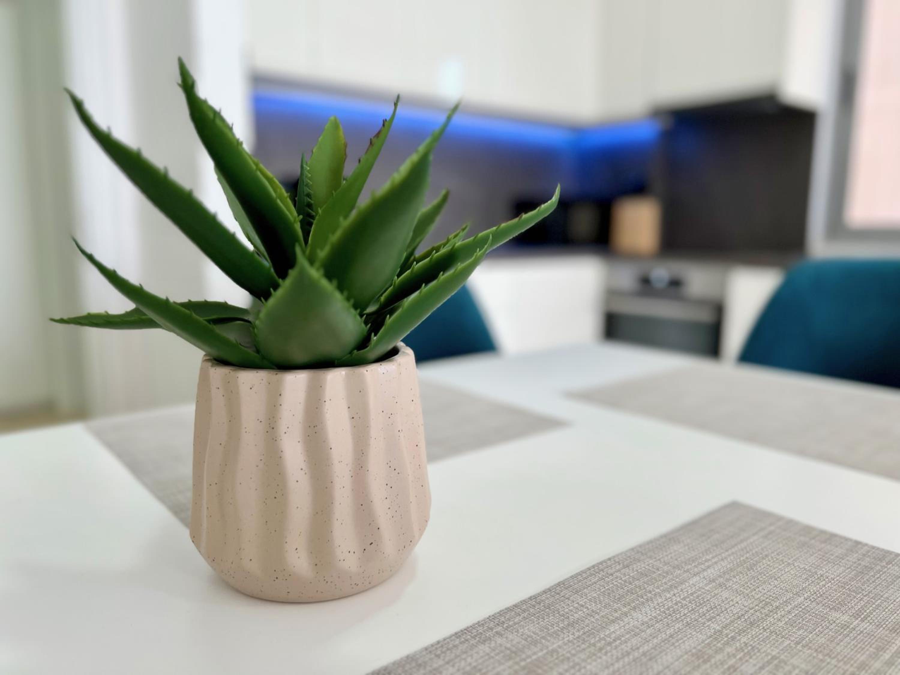 Bianca Beach Apartment