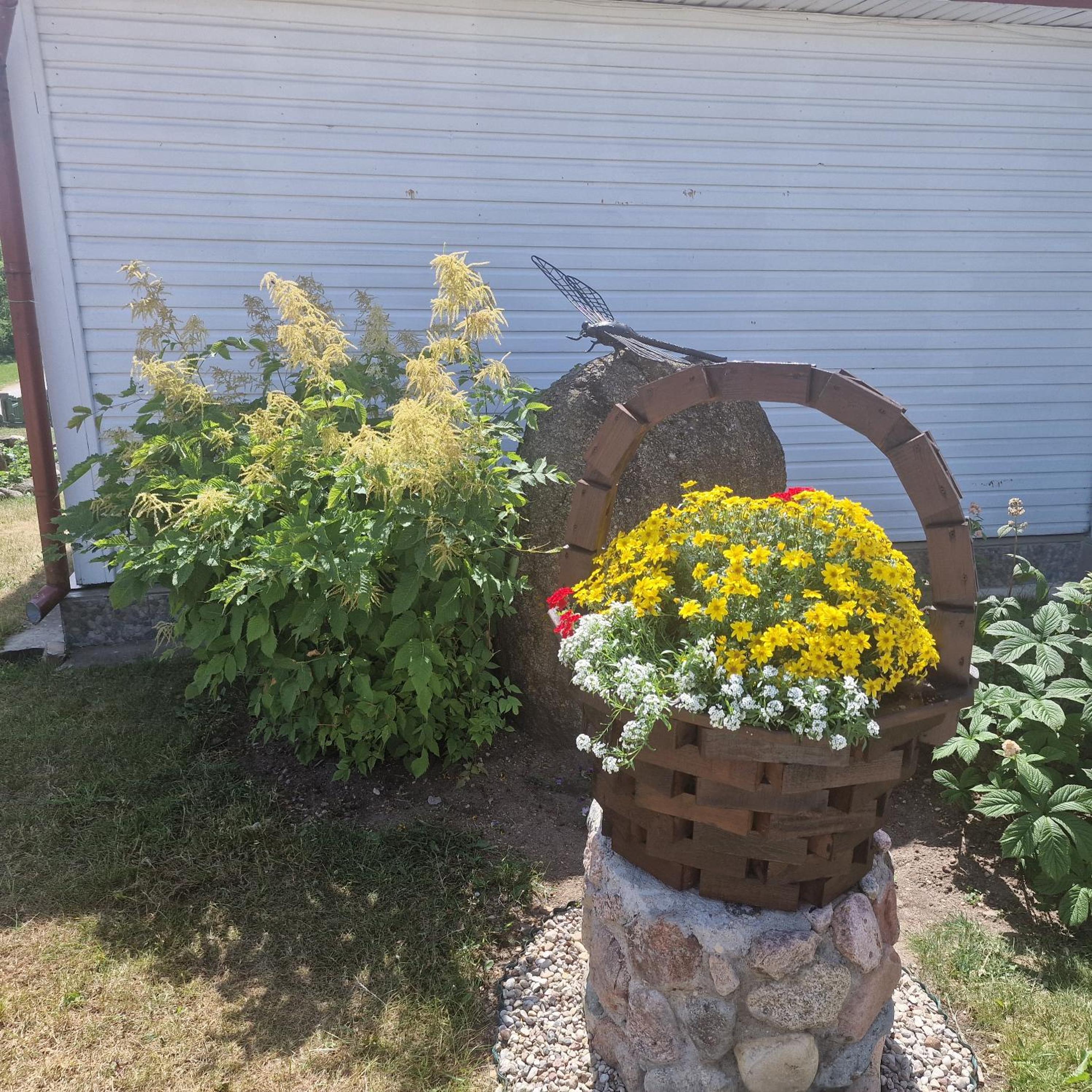 Photo 26