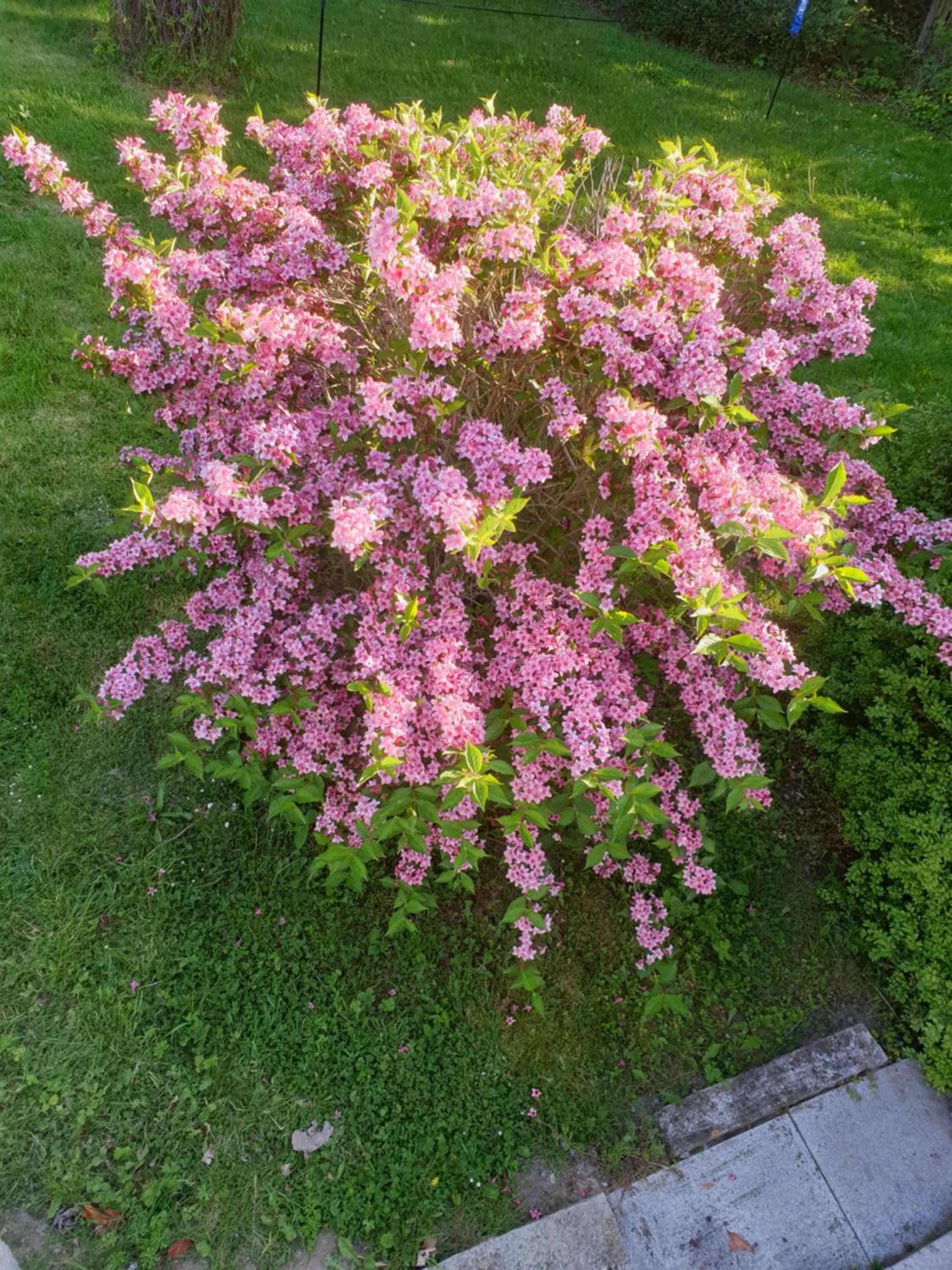 Photo 32