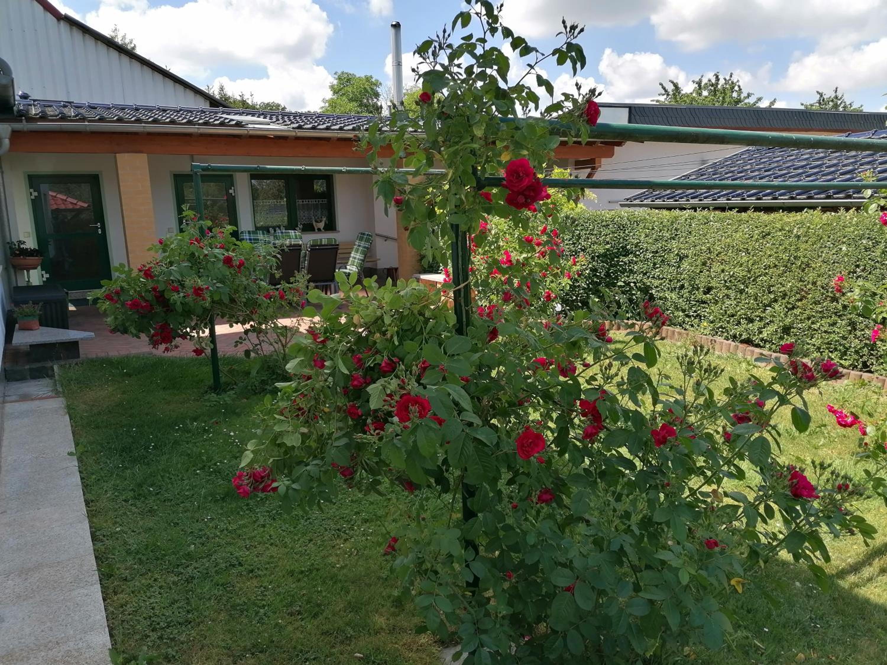 Ferienhaus Putzke