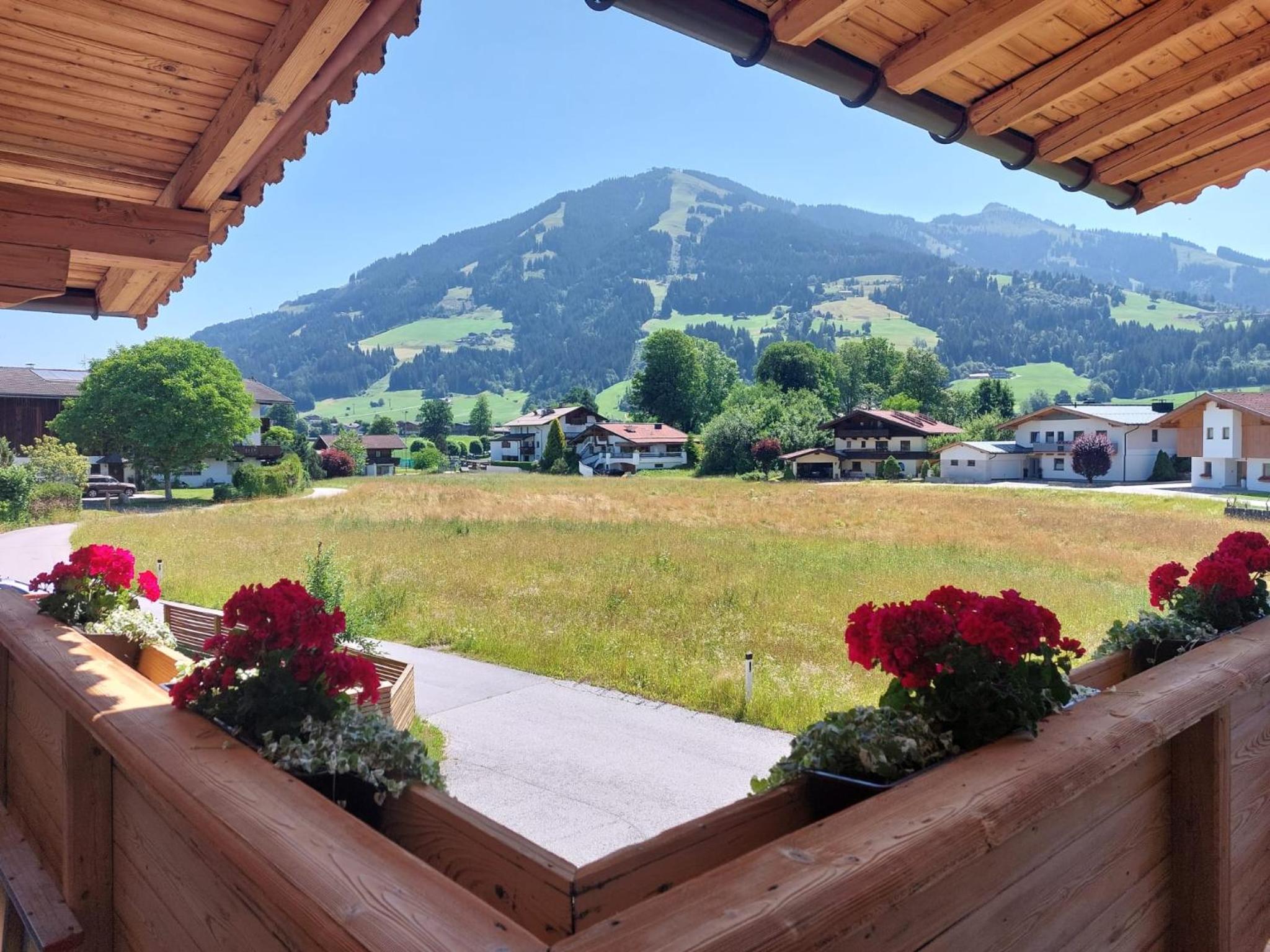 Bergblick view 3