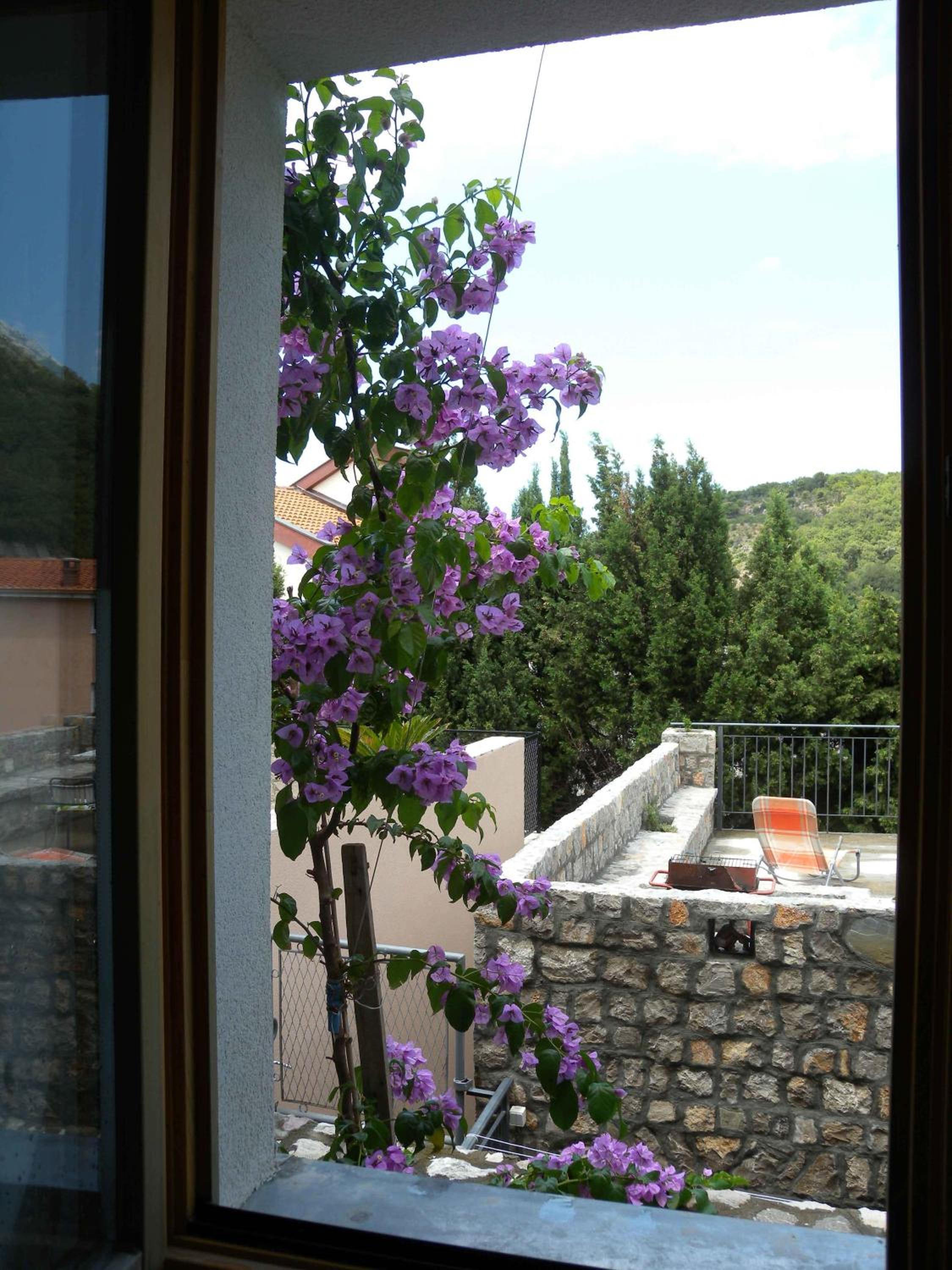 Apartments Markovic Sutomore