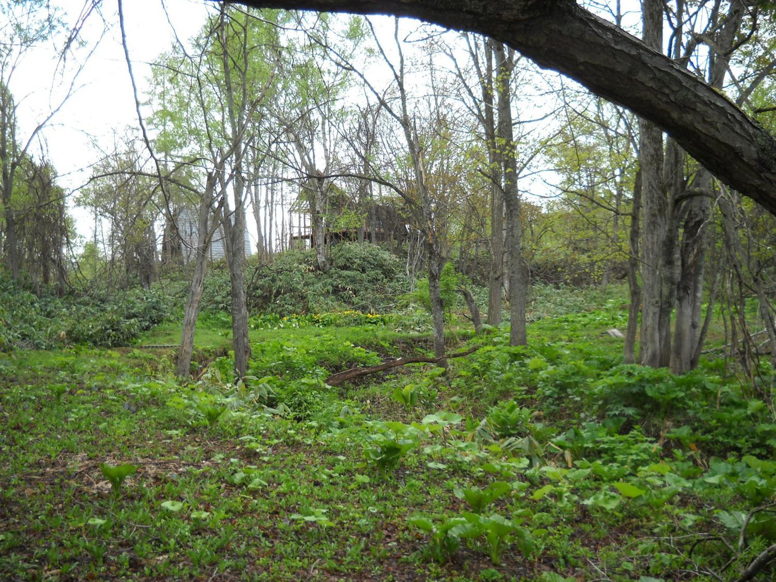 Photo 11