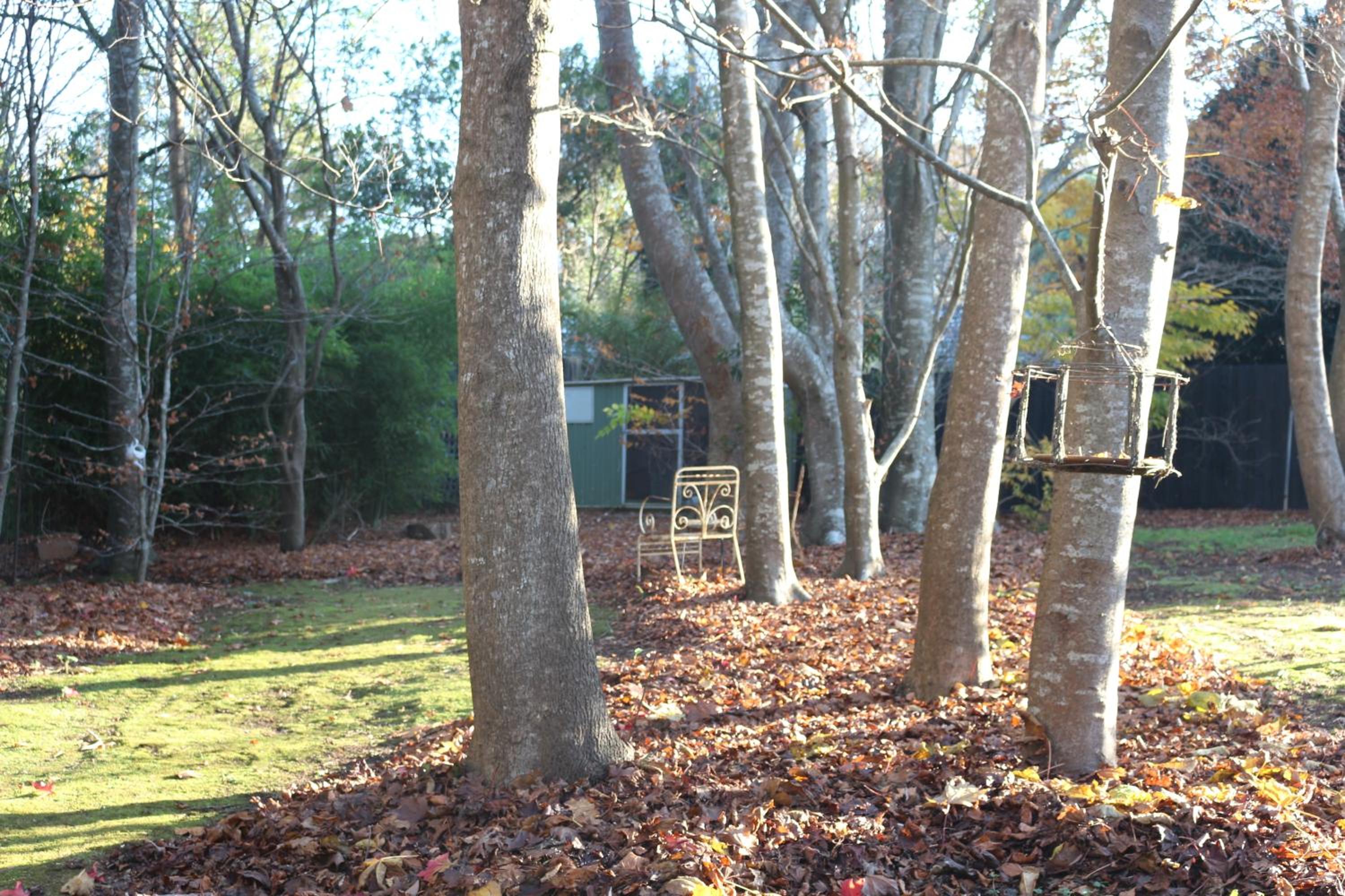 The Beeches Olinda Accommodation