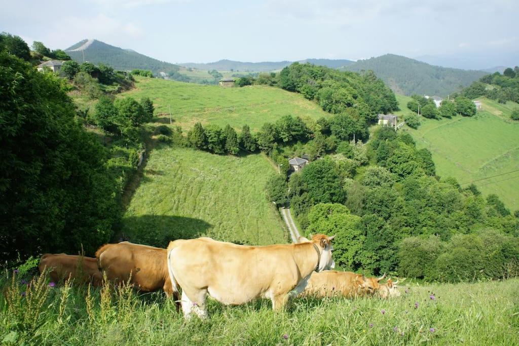 Casa Rural de montaña en LUARCA en ASTURIAS