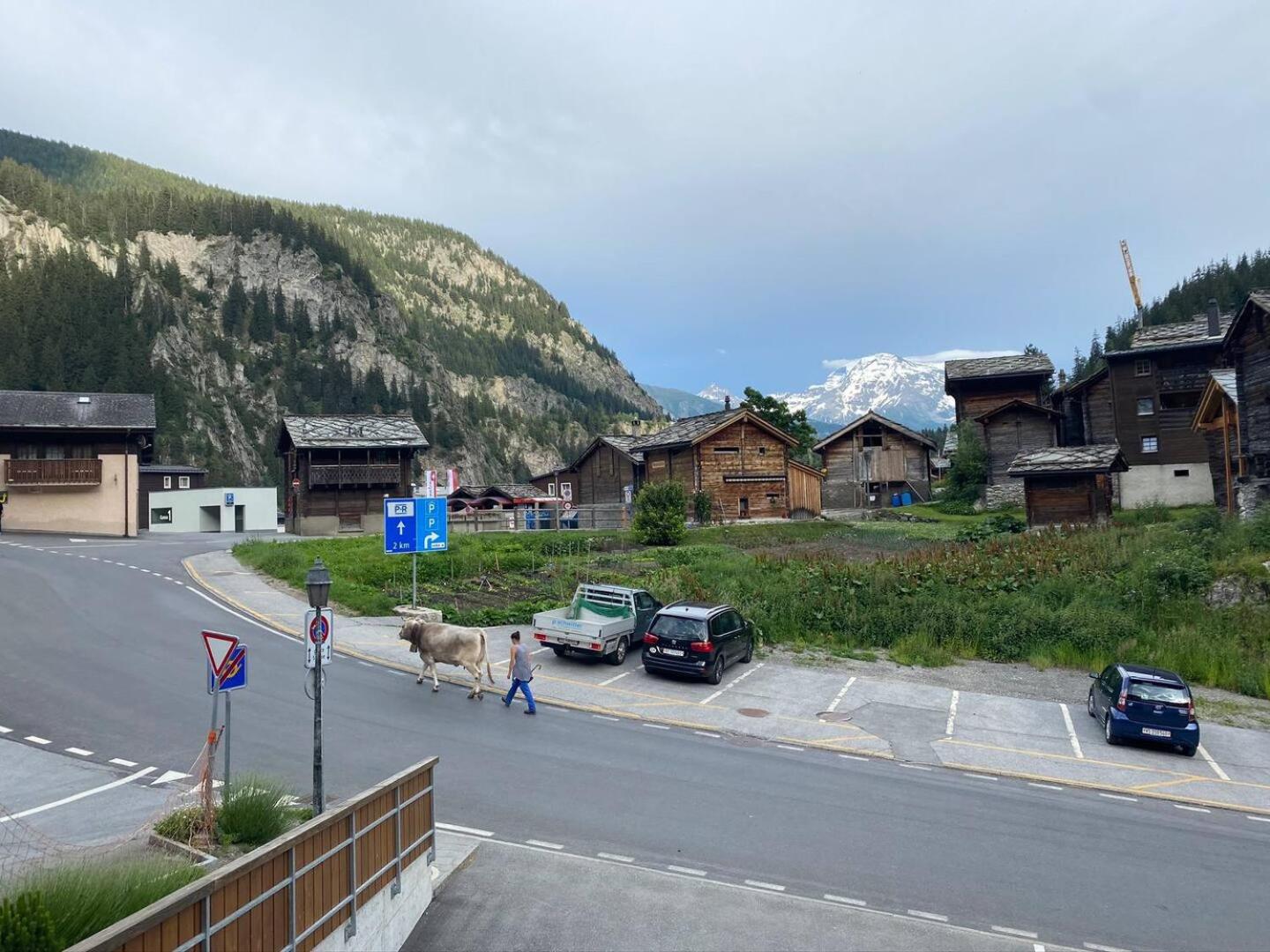 Residenz Panorama - Blatten bei Naters VS