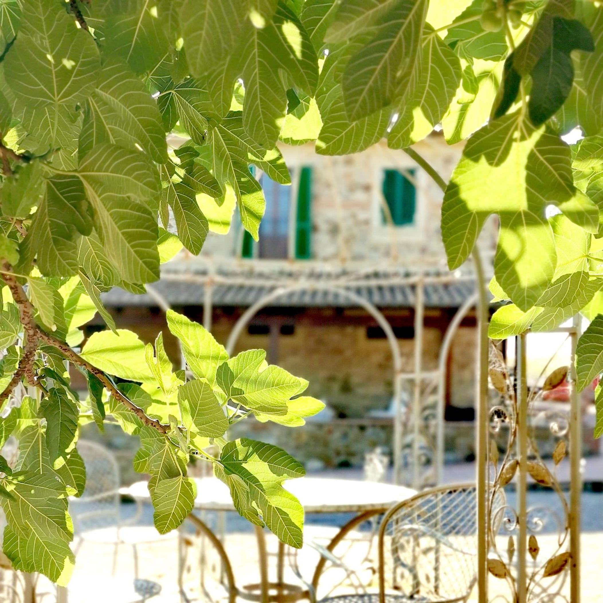 Fattoria Tolomei