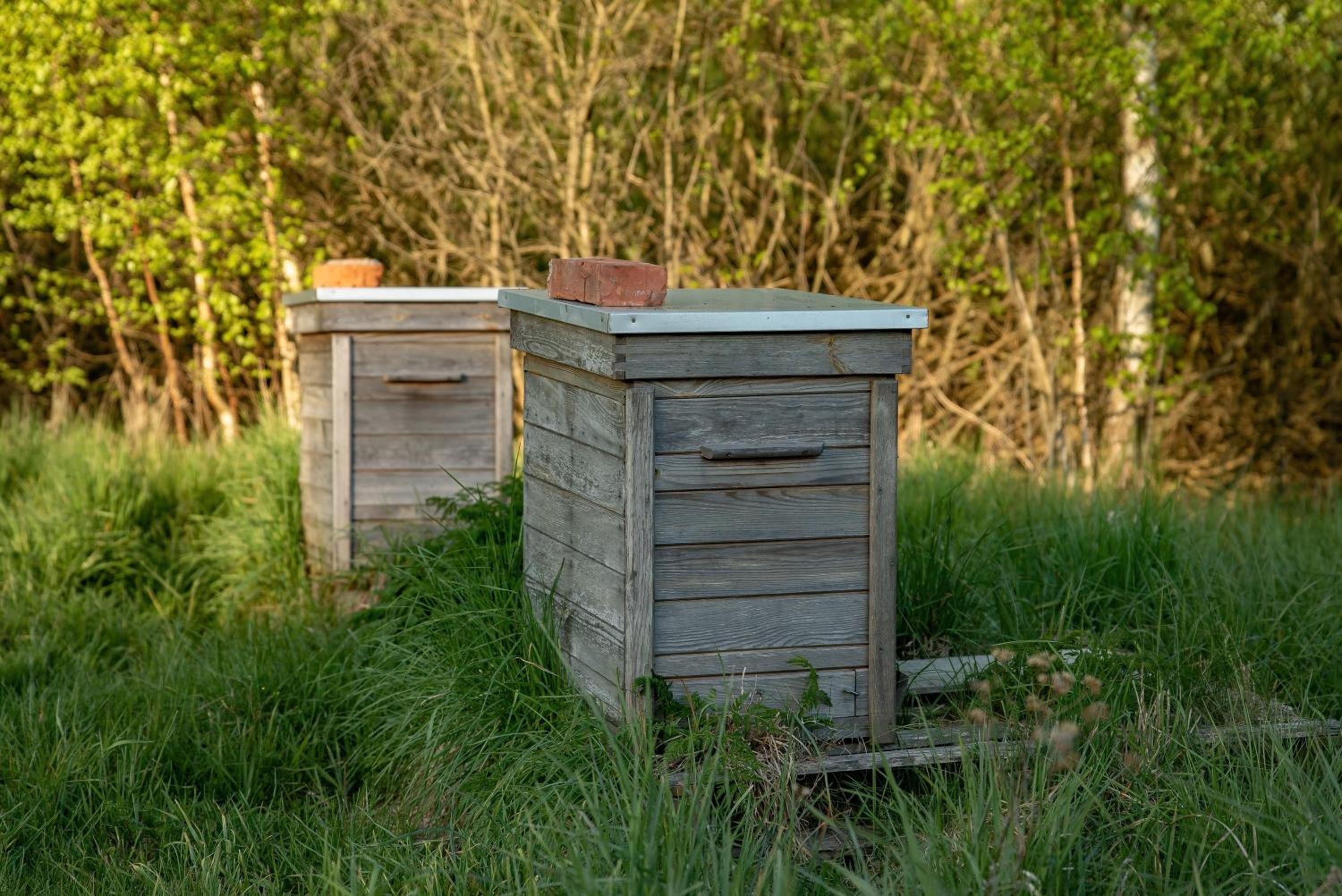 Żurawi Jar