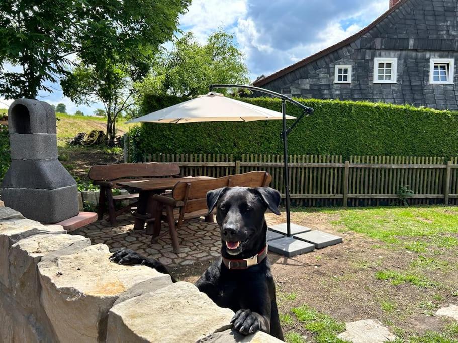 Wellness-Ferienhaus 