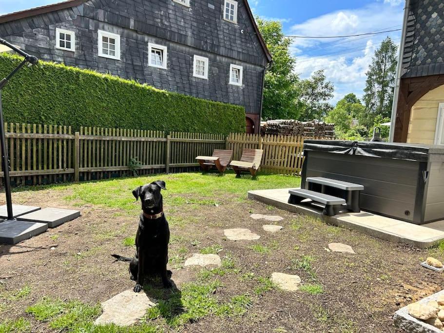Wellness-Ferienhaus 