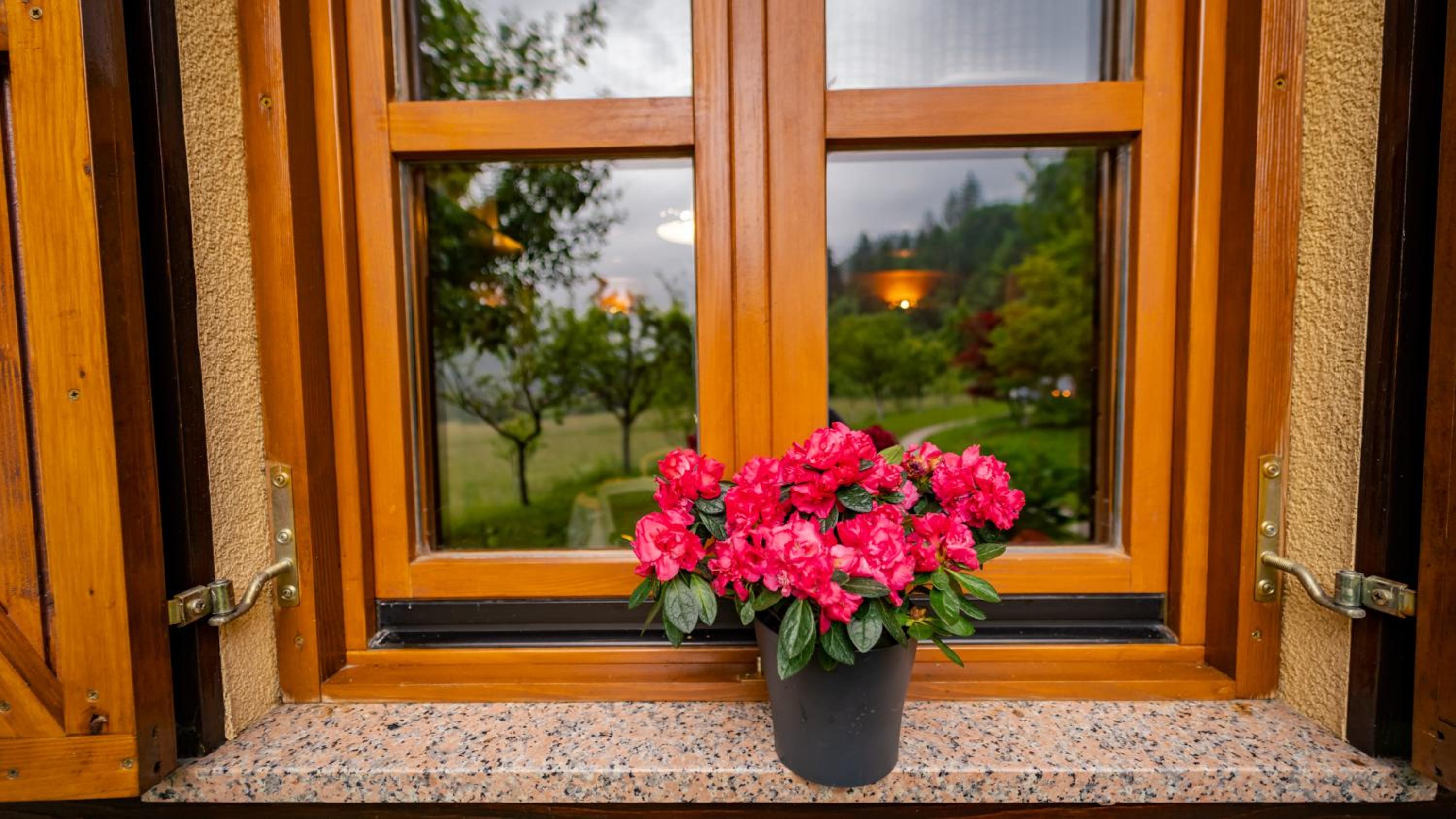 Holiday House Sofia view 4