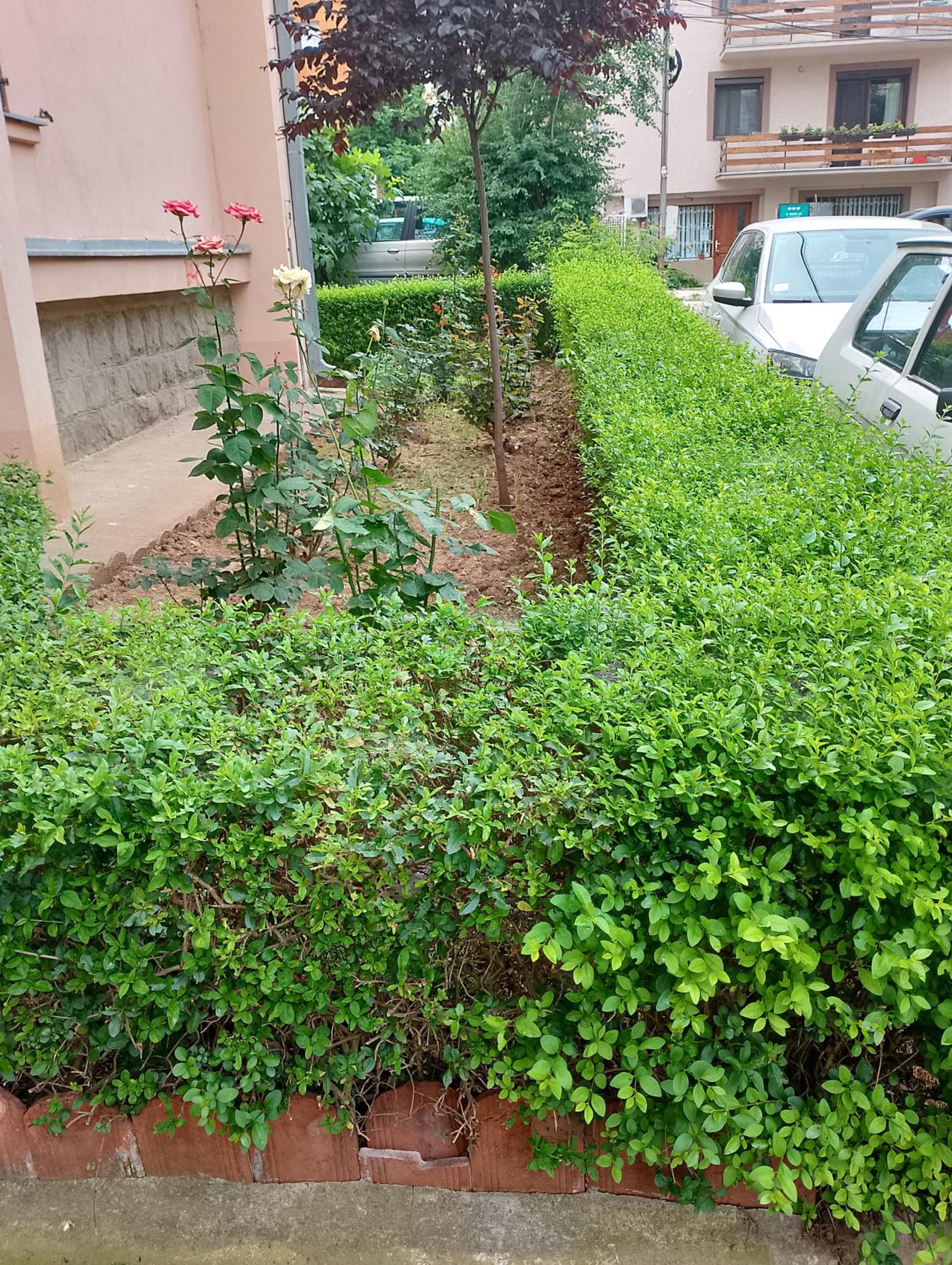 Studio Apartman HERA