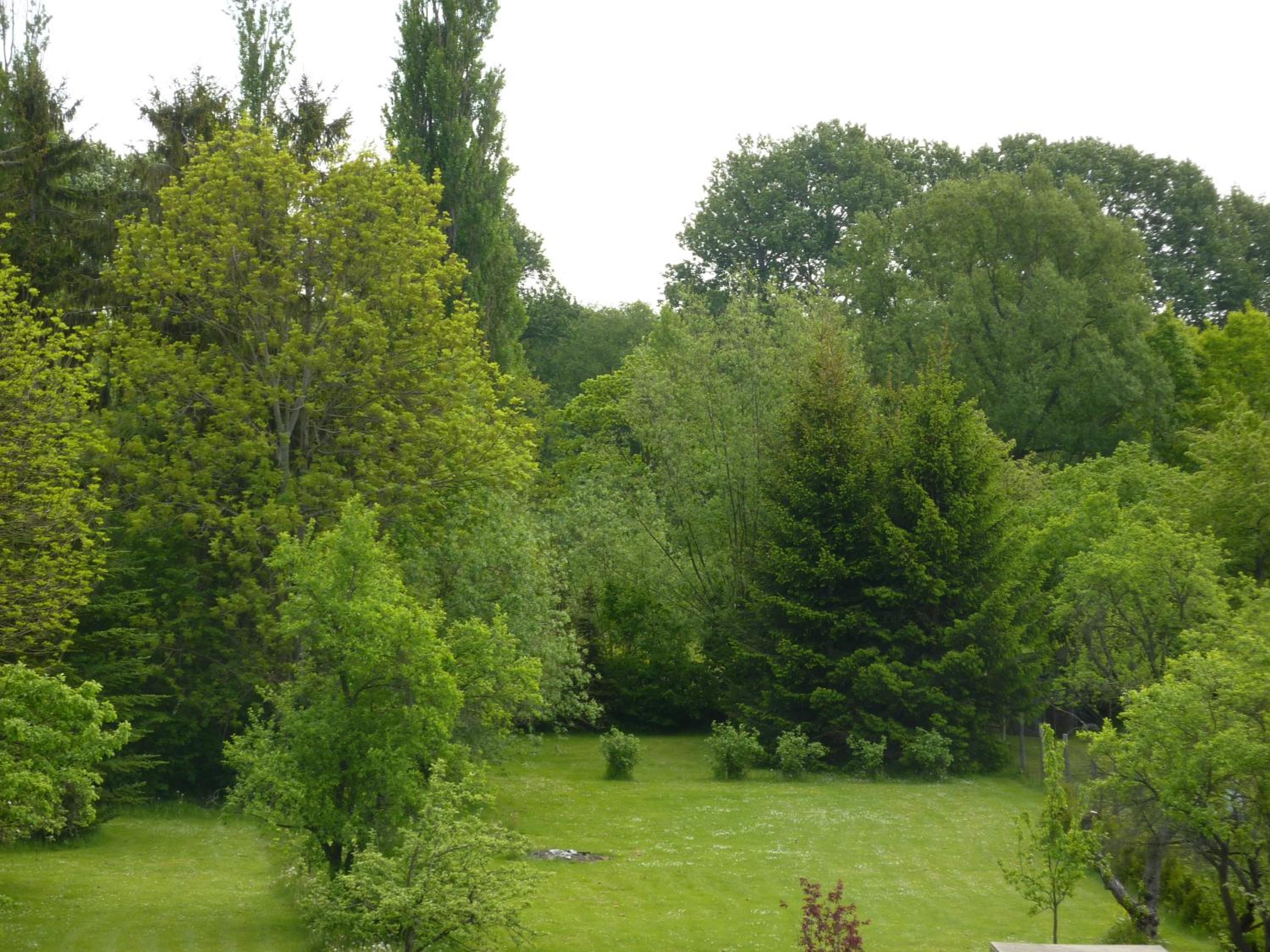 Photo 29