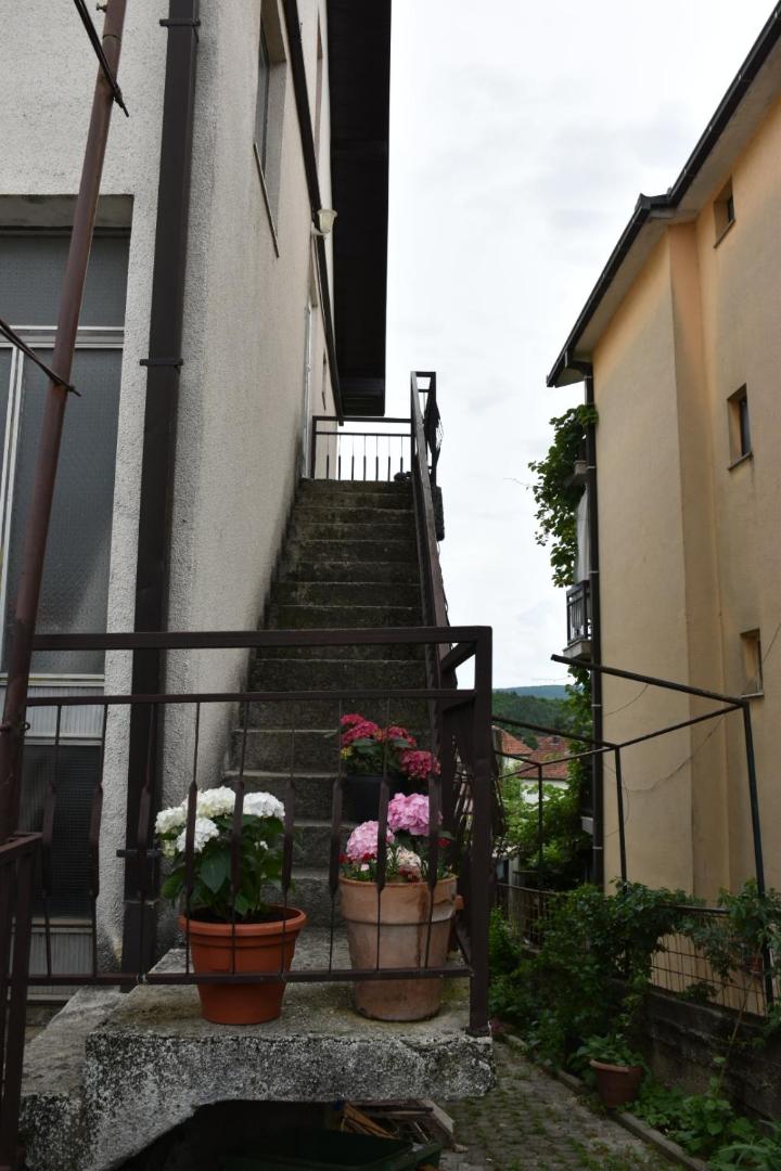 Apartment Monika
