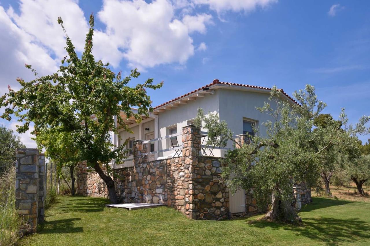 Villa Kladi photo 5