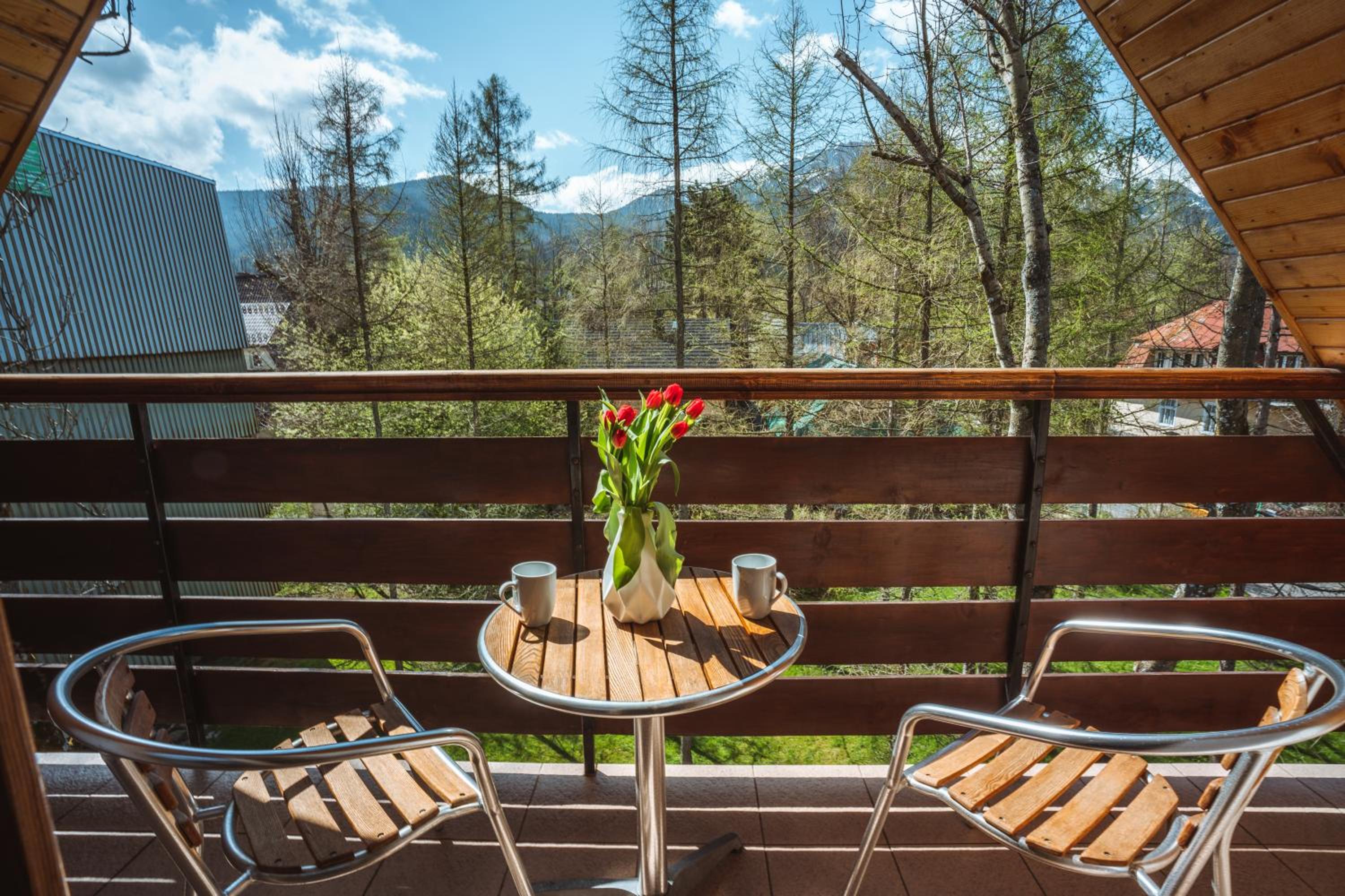 VisitZakopane - Mango Apartment view 3