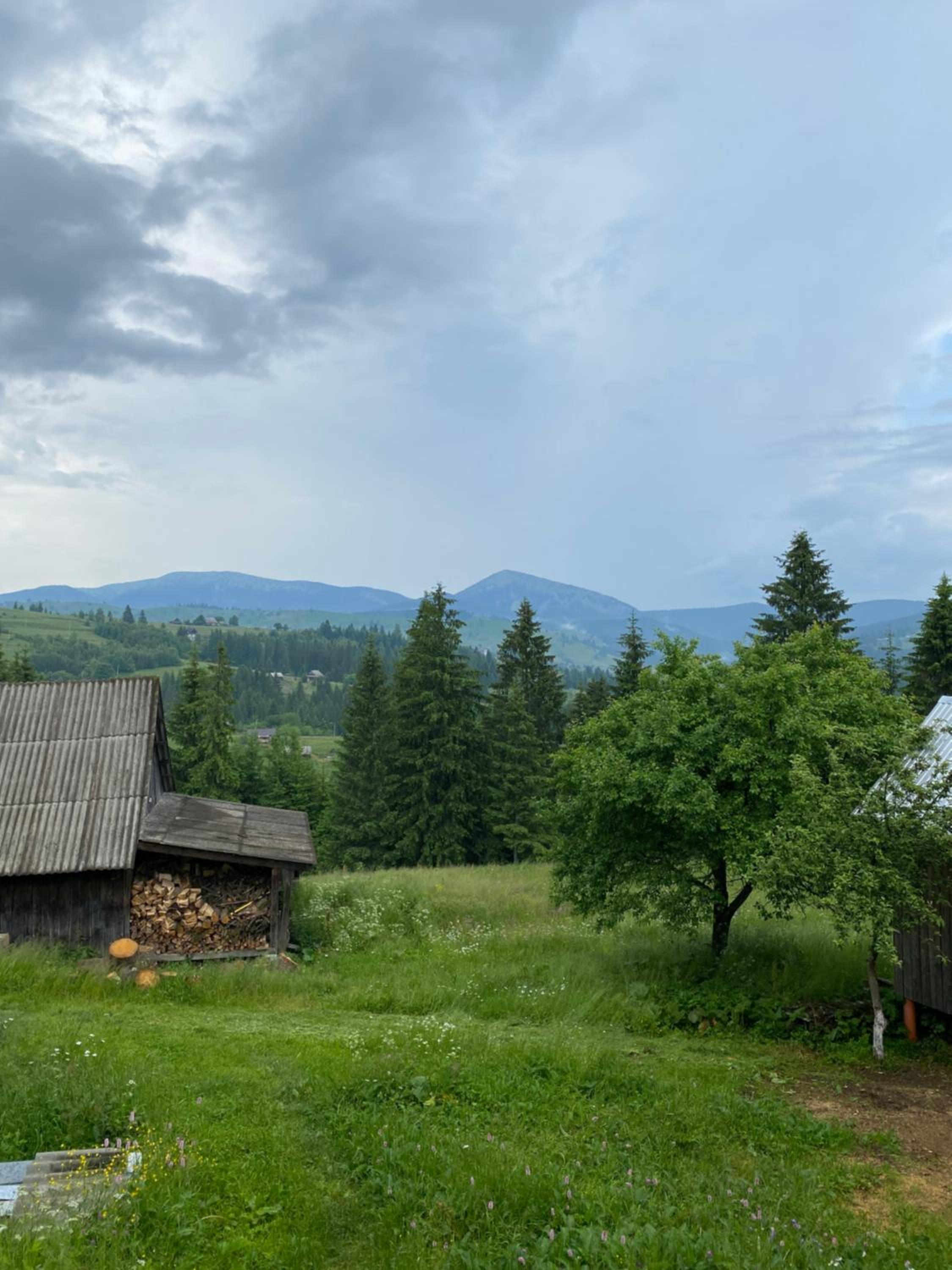 Sadiba Rozchil