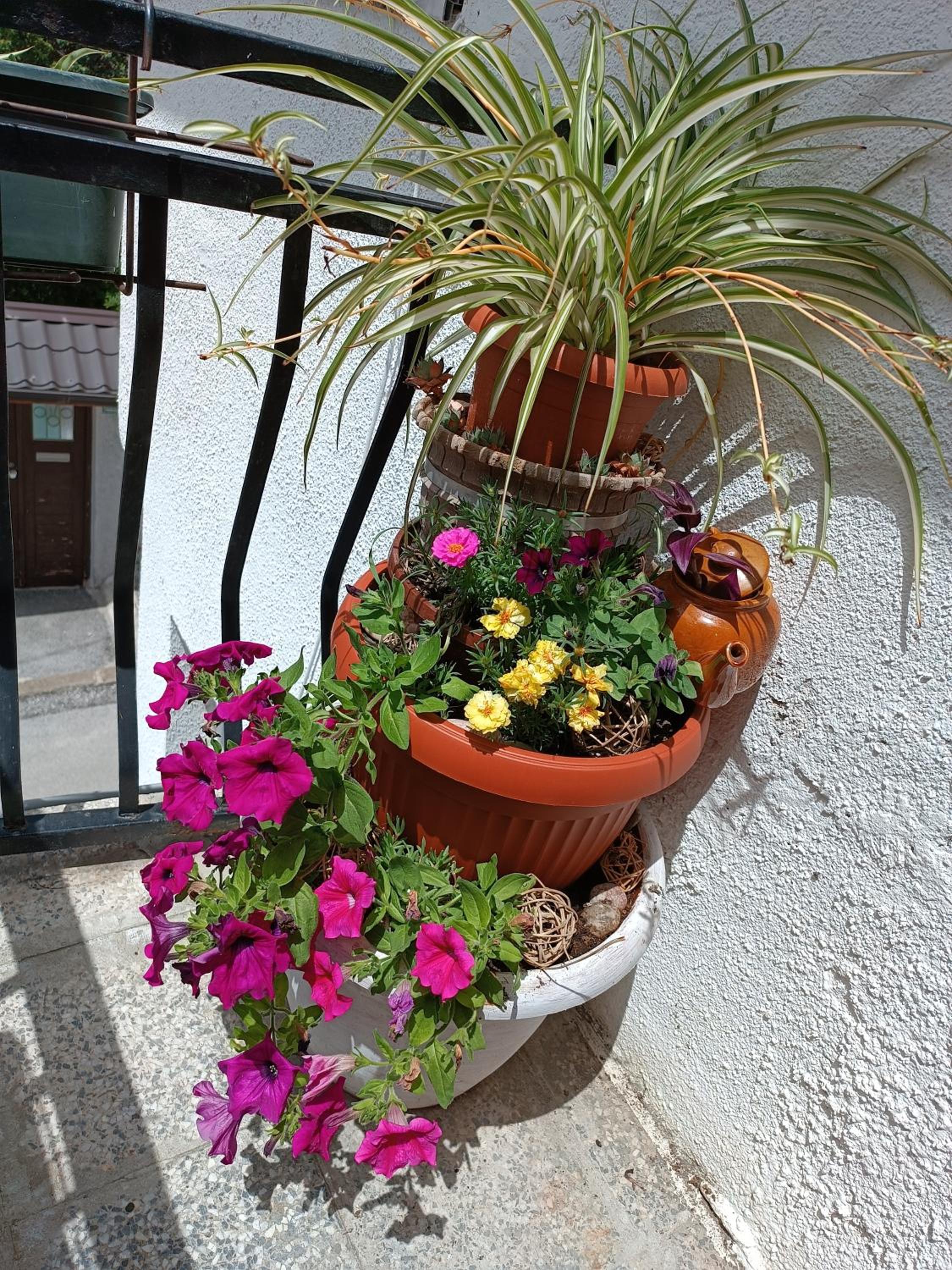 Apartman Ohren