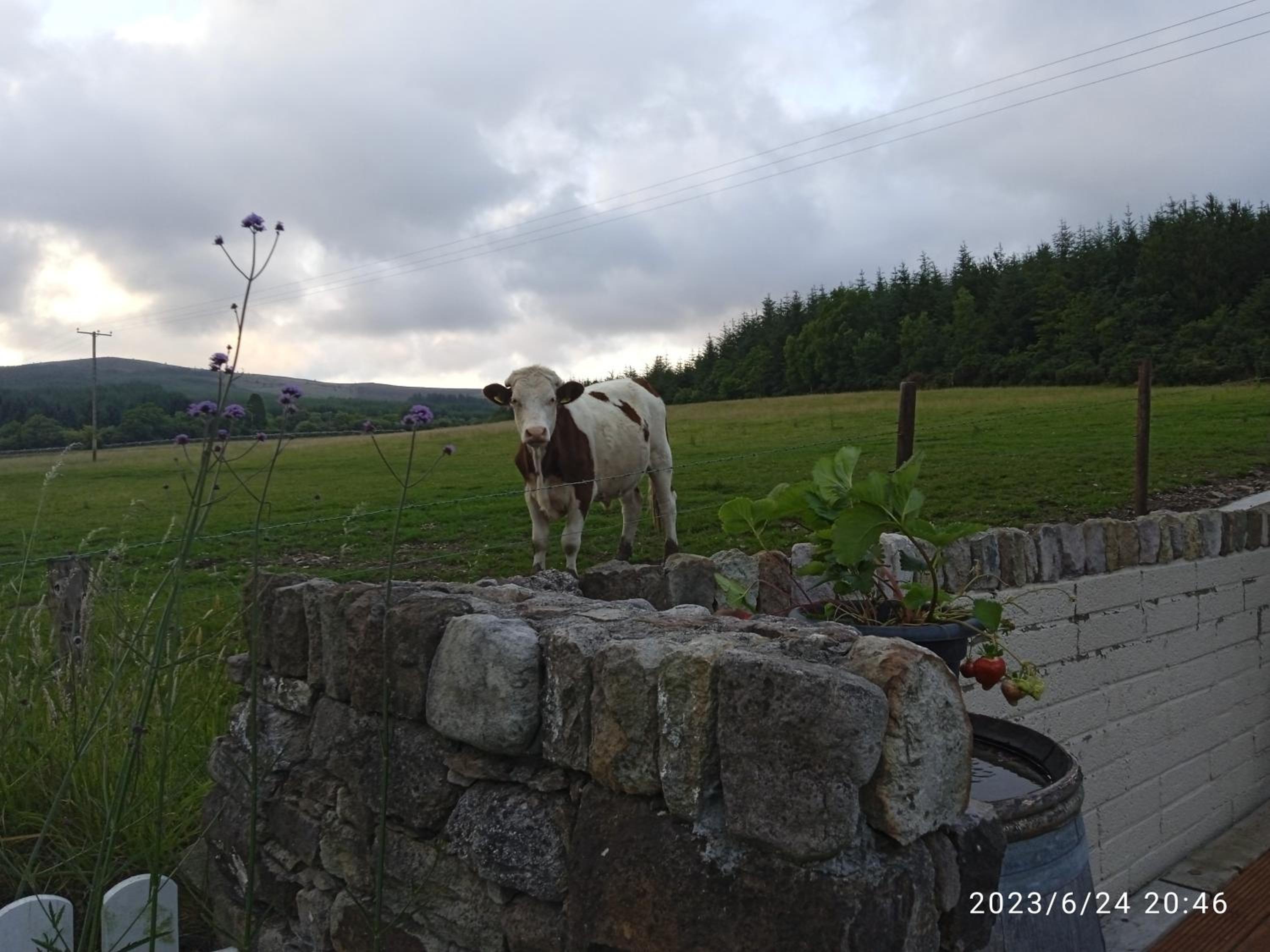 Nire Valley Cottage