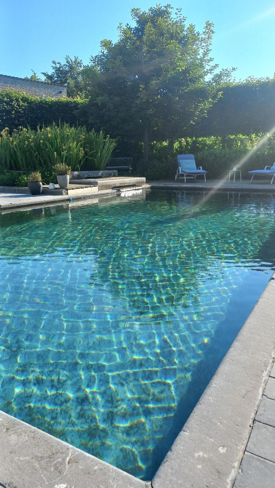 'De Zandrug' vakantiehoeve - B&B