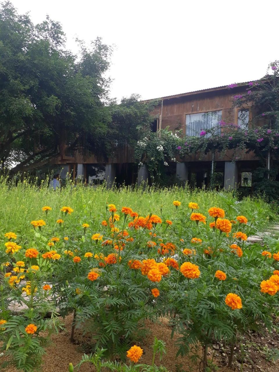 Tuyet's hostel