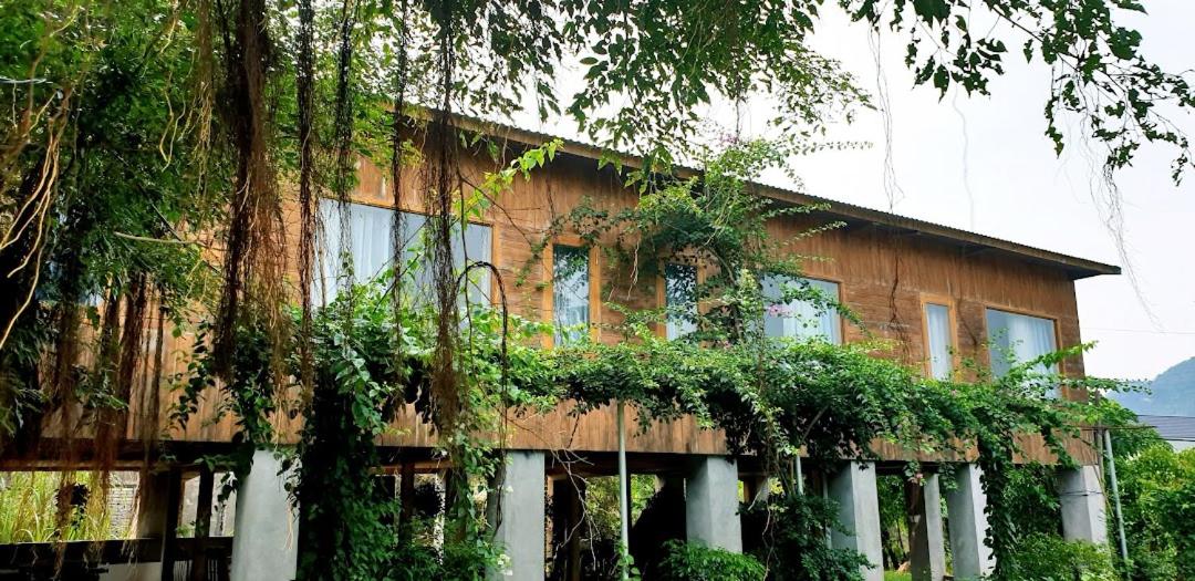 Tuyet's hostel