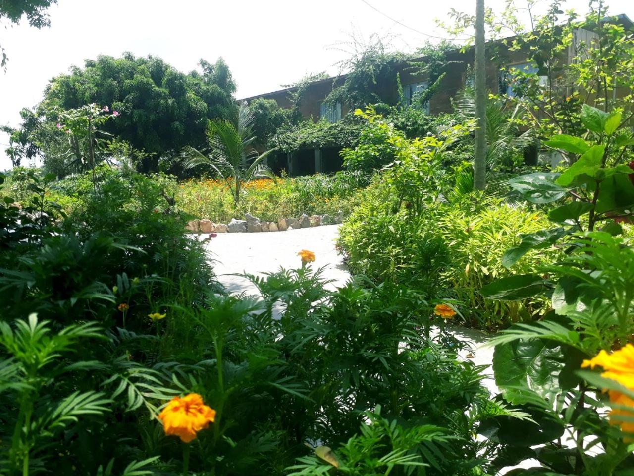 Tuyet's hostel