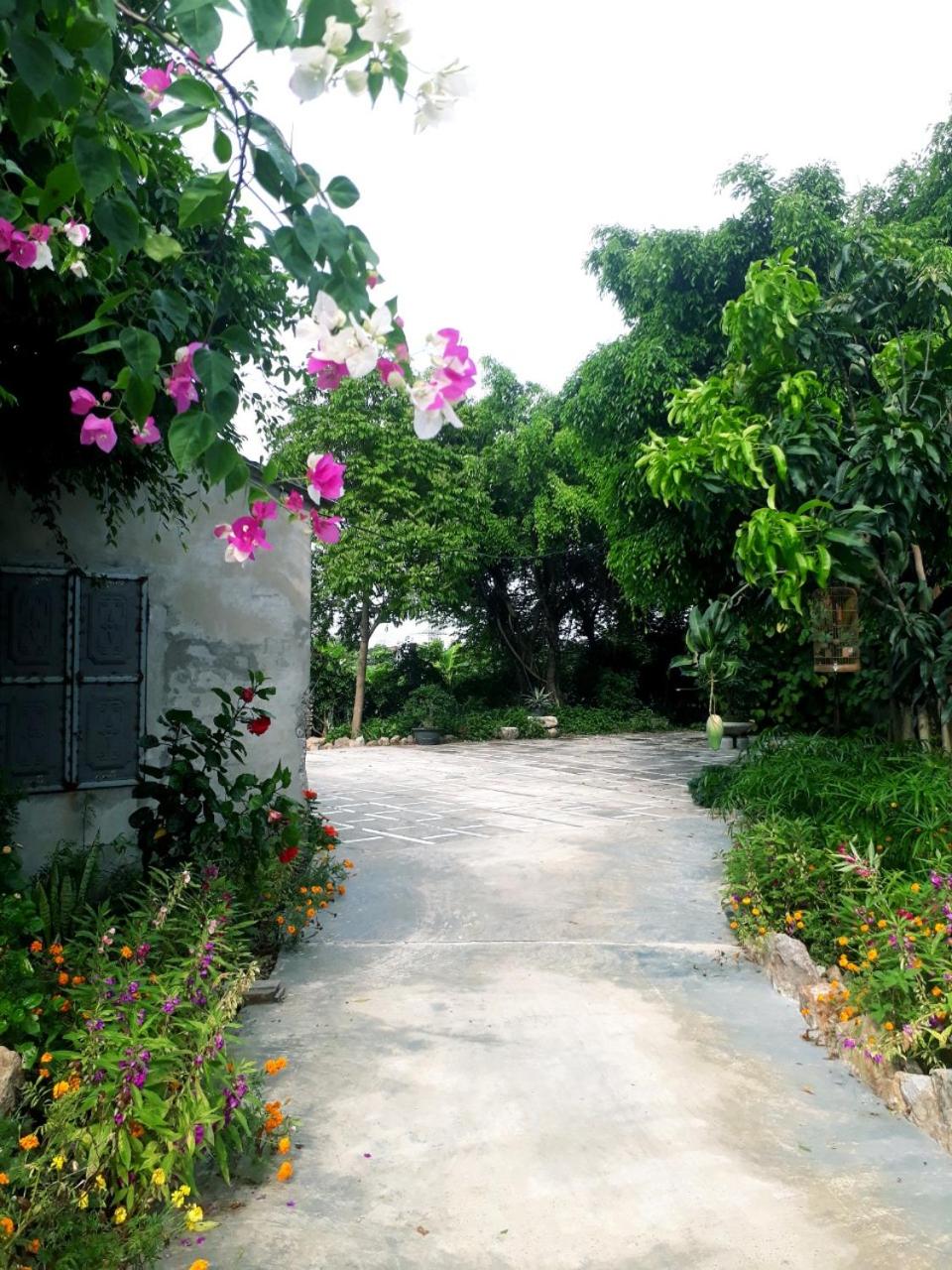 Tuyet's hostel