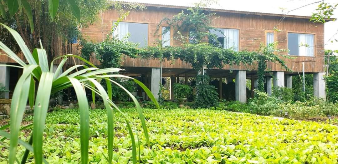 Tuyet's hostel